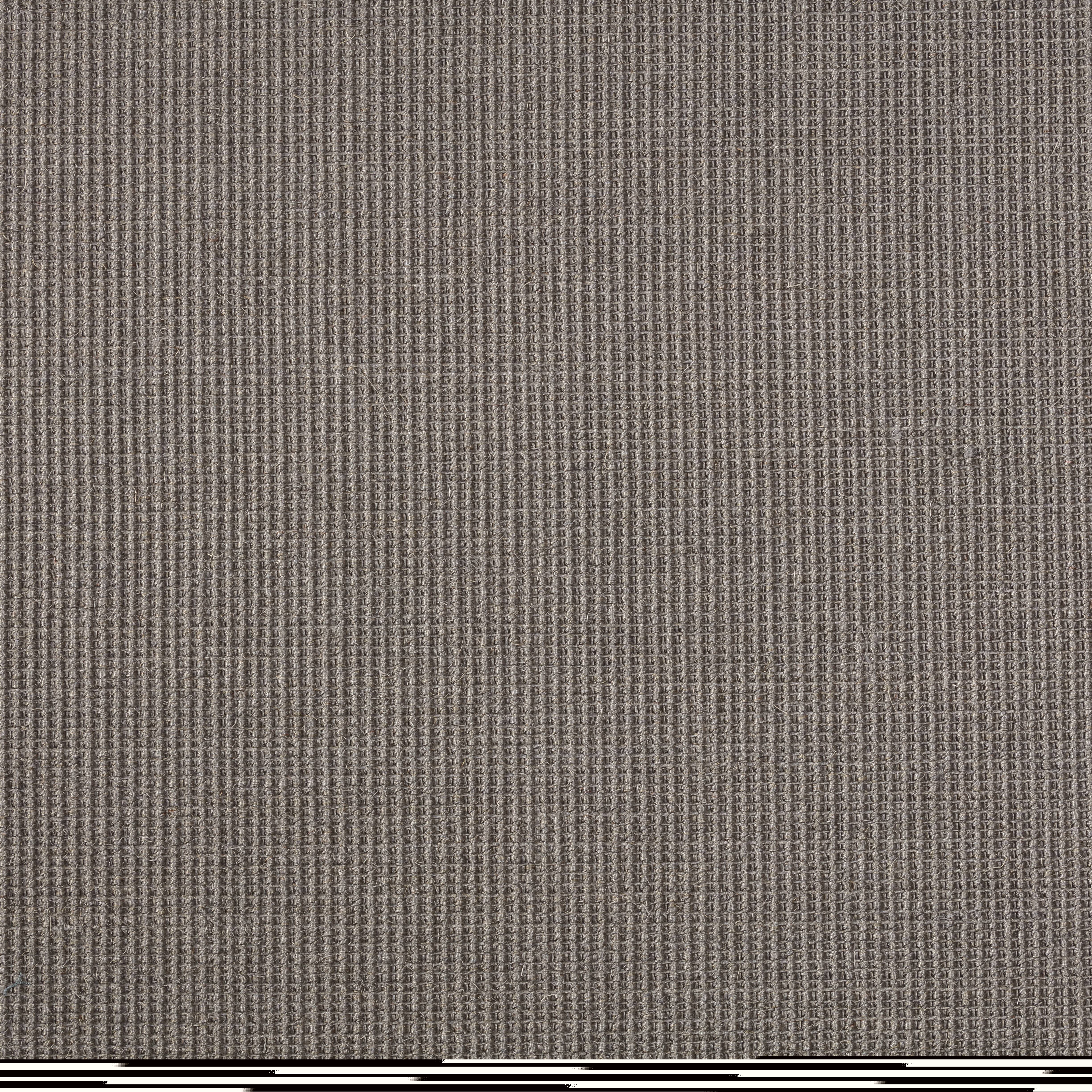 Sisal Teppich Brasilia 3150/B mit Baumwollbordüre Sisal Teppich Brasilia 3150/B mit Baumwollbordüre