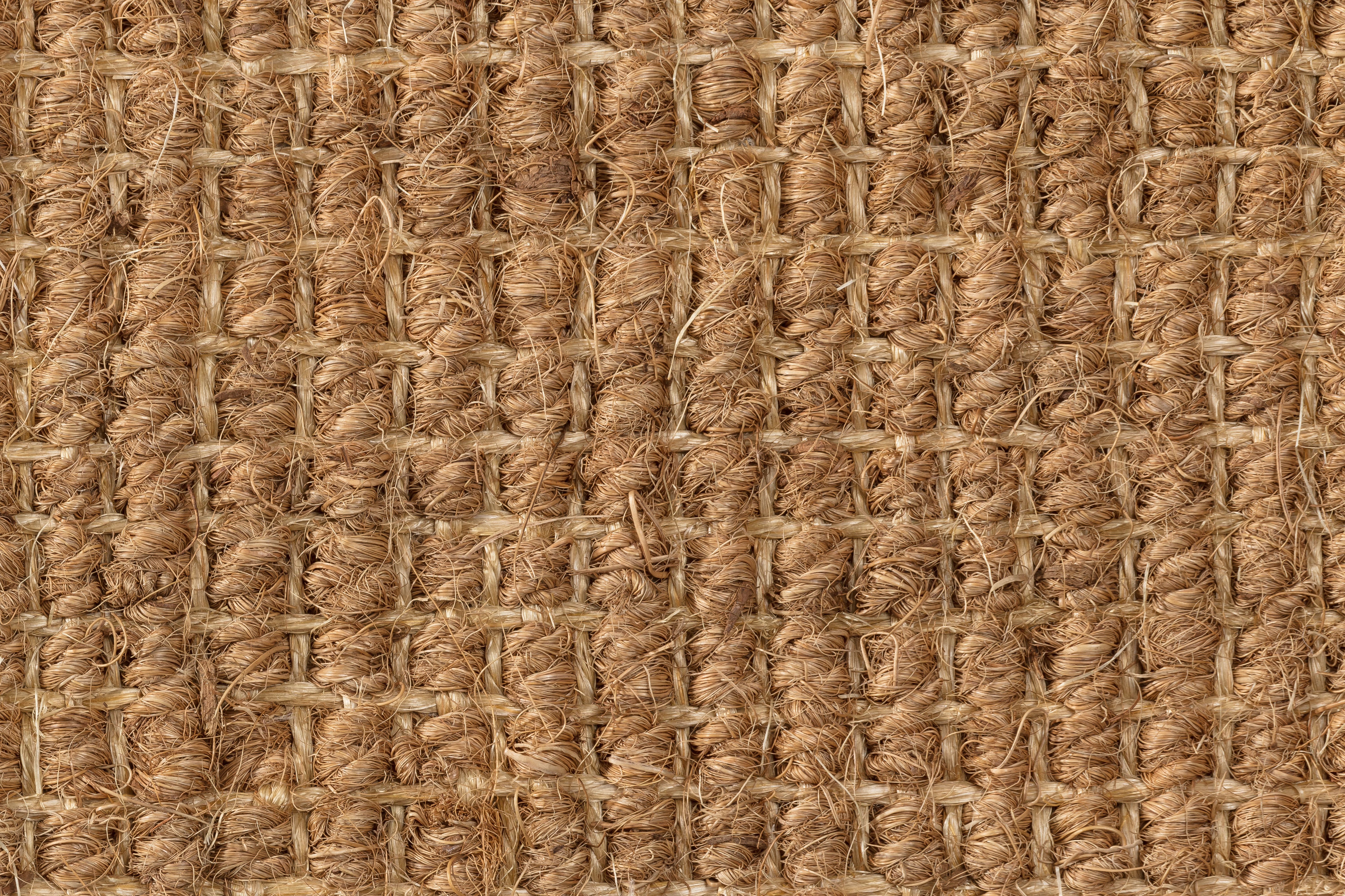 Sisal Teppichboden Mangalore 2300/B beschichtet Sisal Teppichboden Mangalore 2300/B beschichtet