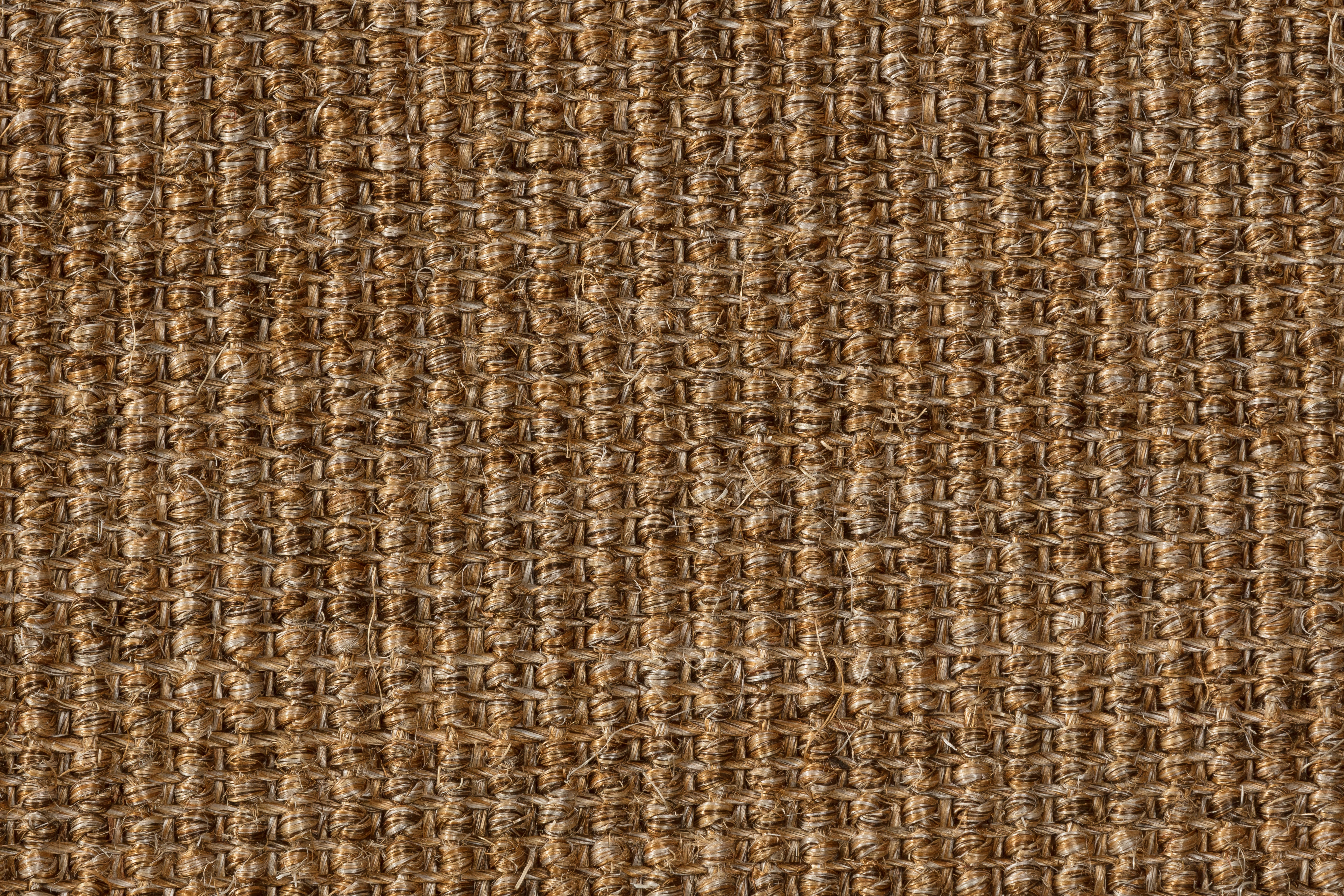 Sisal Teppichboden Brasilia 3150/B beschichtet Sisal Teppichboden Brasilia 3150/B beschichtet