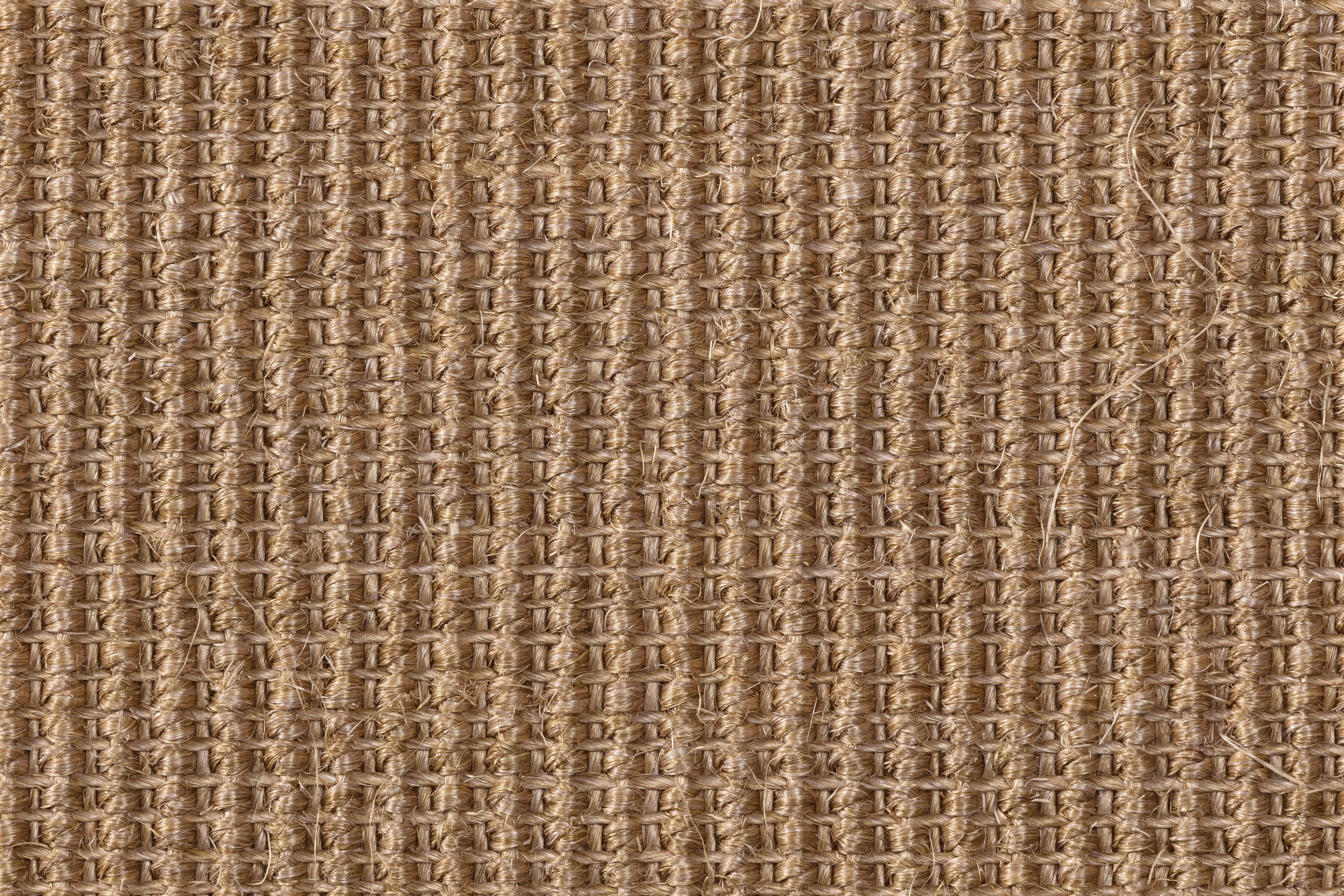 Sisal Teppichboden Brasilia 3150/B beschichtet