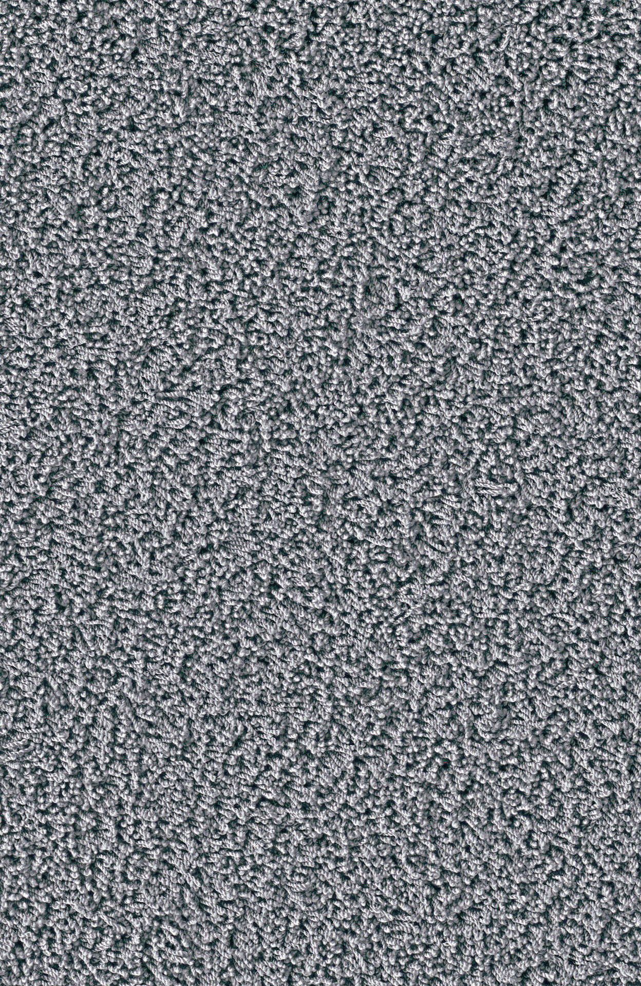 50D5_MAGIC_Einzel-wg_(1)