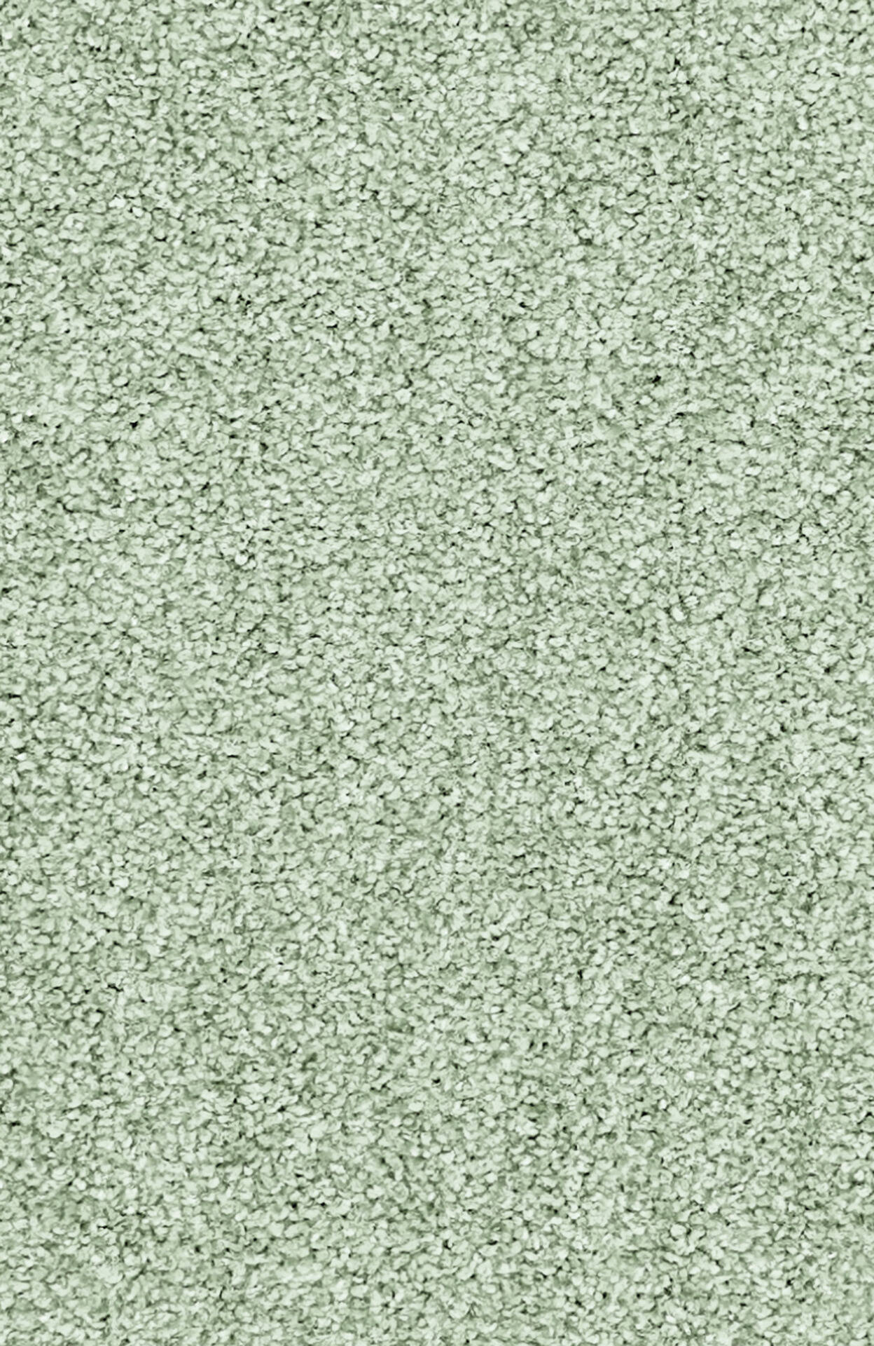 PASSION and Rugs "Conzano" Vorwerk Teppich nach Maß