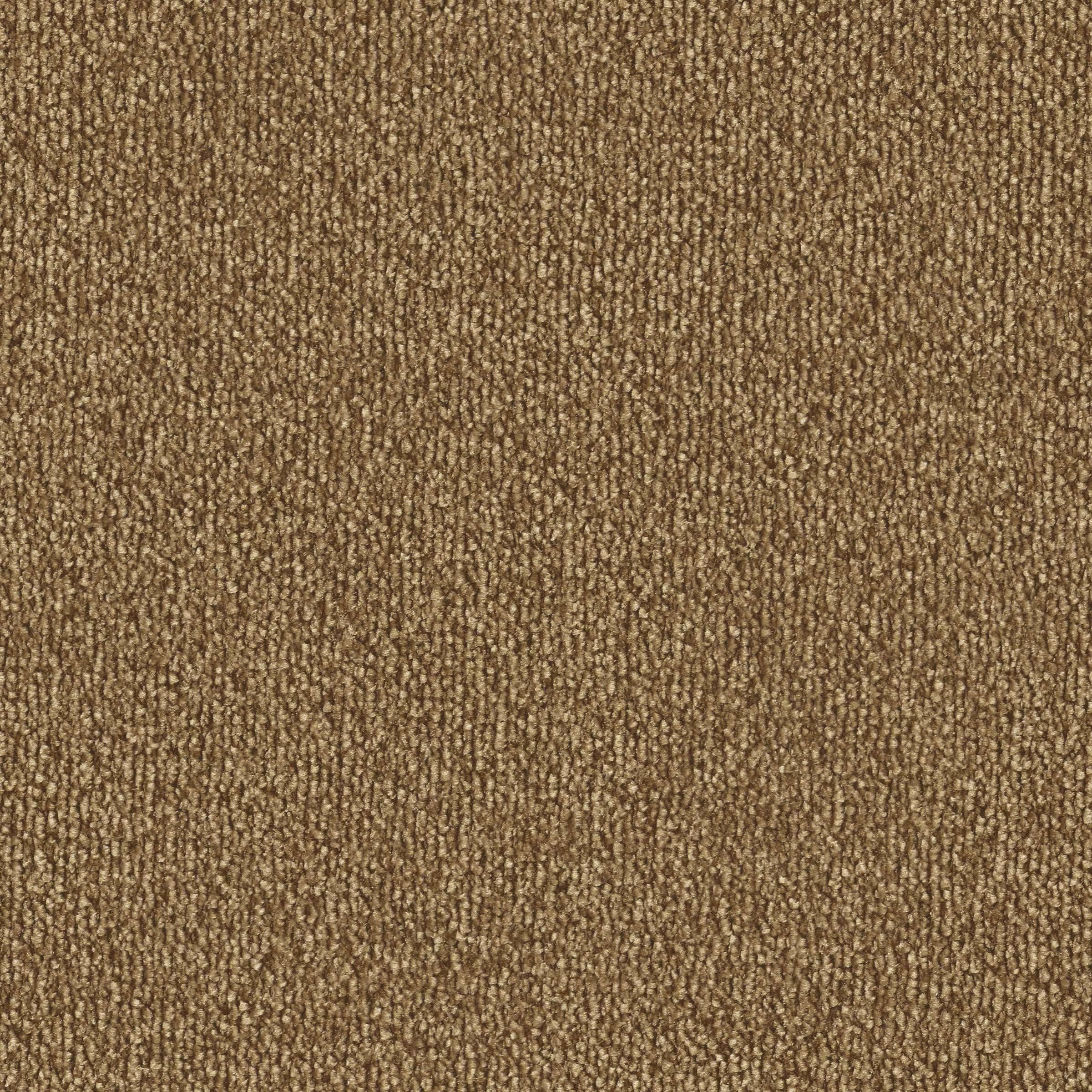 Vorwerk Teppich als Test Vorwerk Teppich als Test