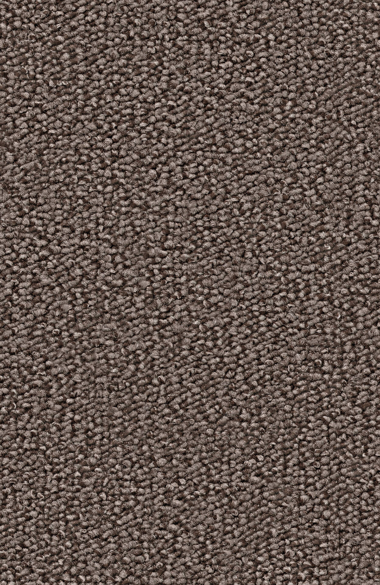 PASSION and Rugs "Rondo" Vorwerk Teppichboden