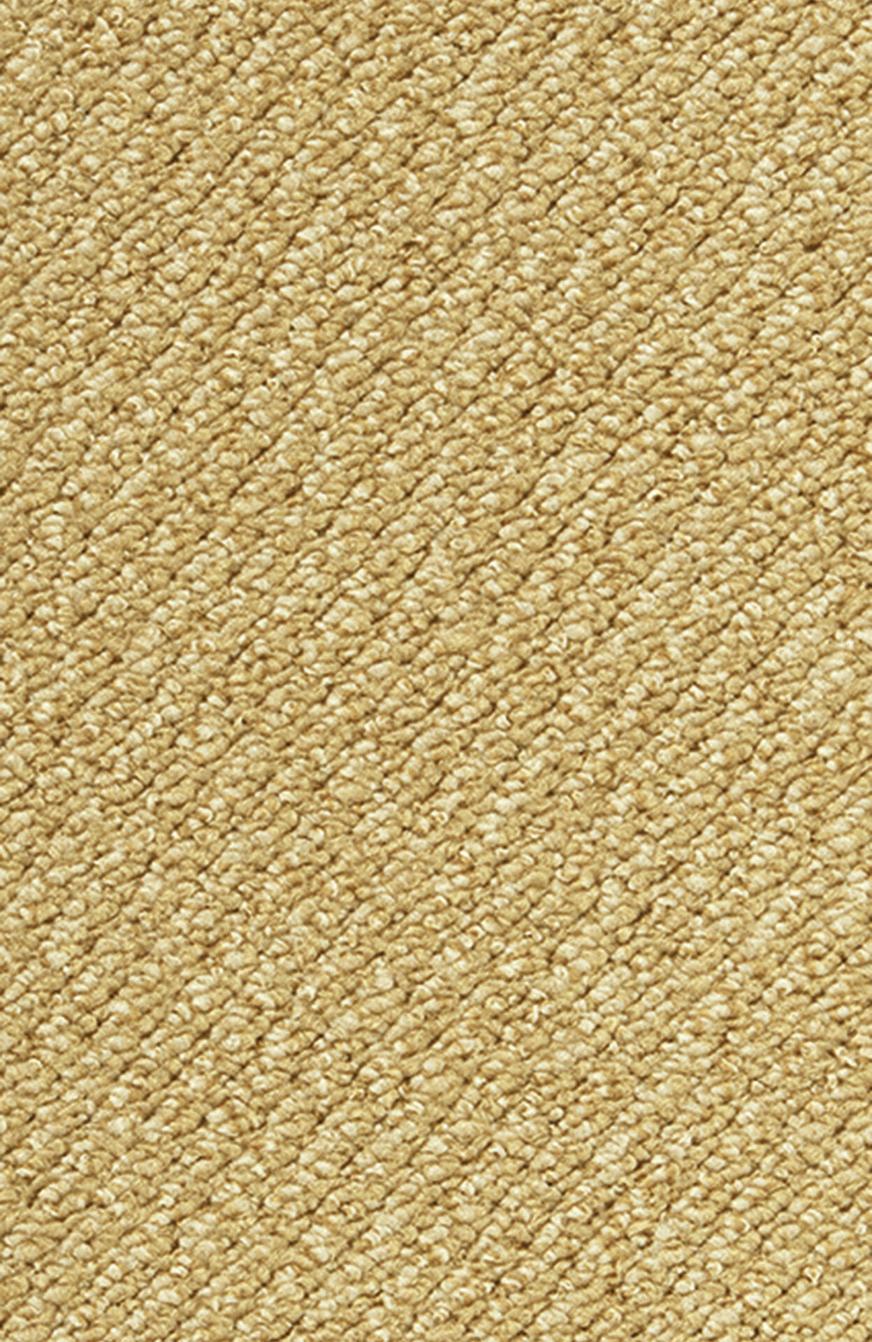 PASSION and Rugs "Telma" Vorwerk Teppichboden