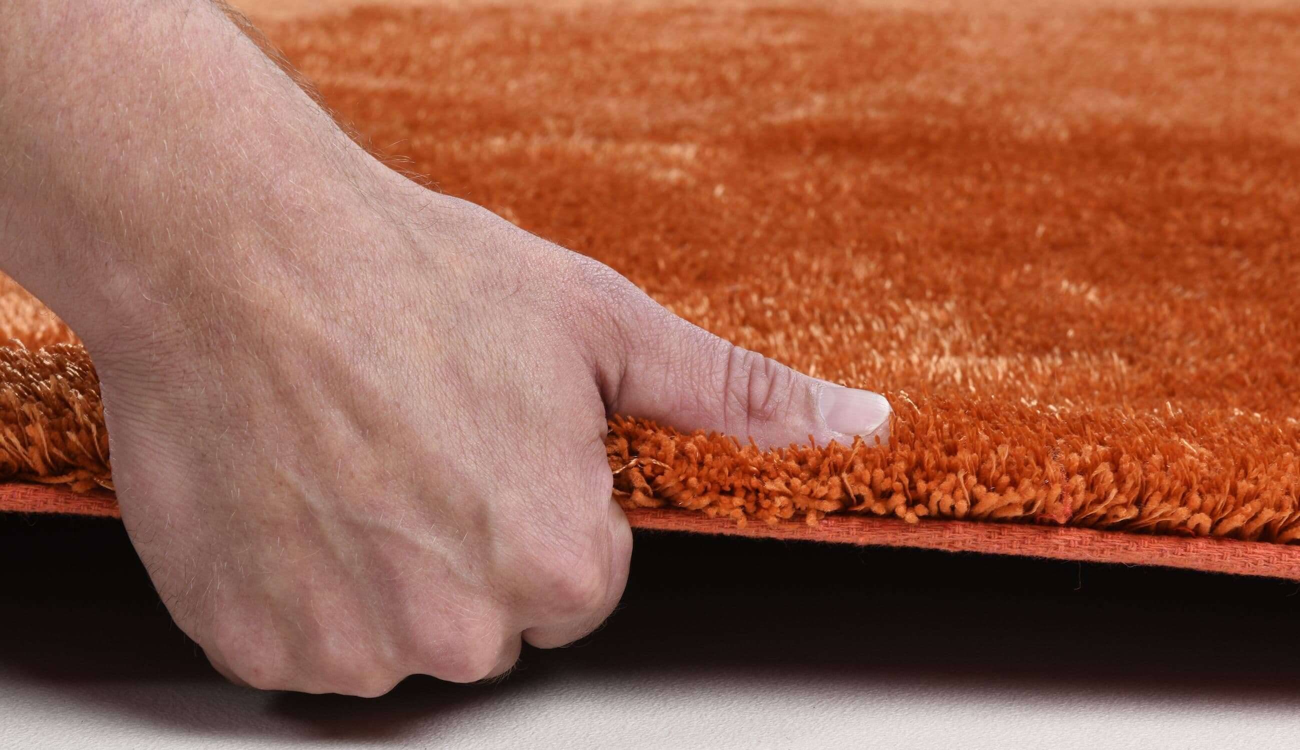 Alessia_Uni_450terra_408075_5 Teppich uni Alessia Shaggy Kuschelteppich