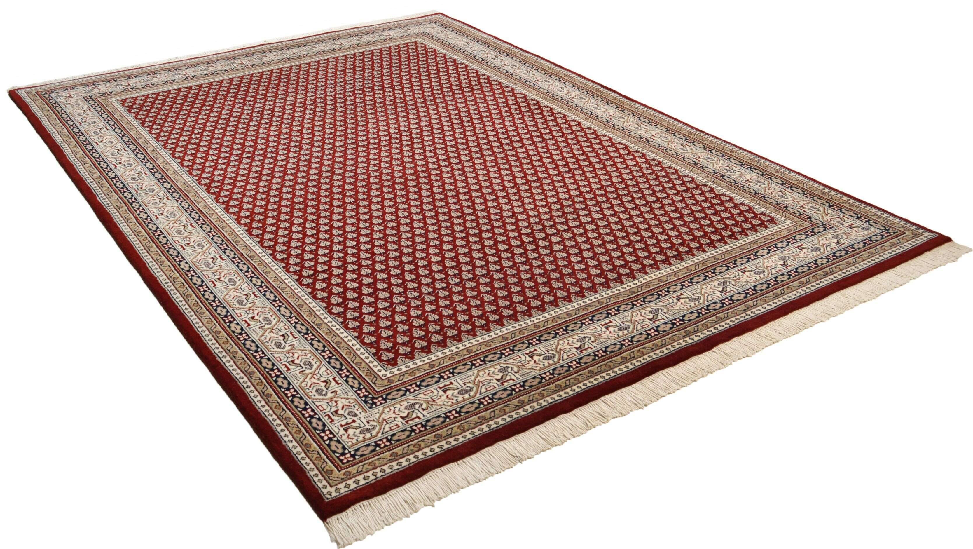 abbasmeraj_mir_redcream_100339_2 Abbas Meraj Mir 10,5/52