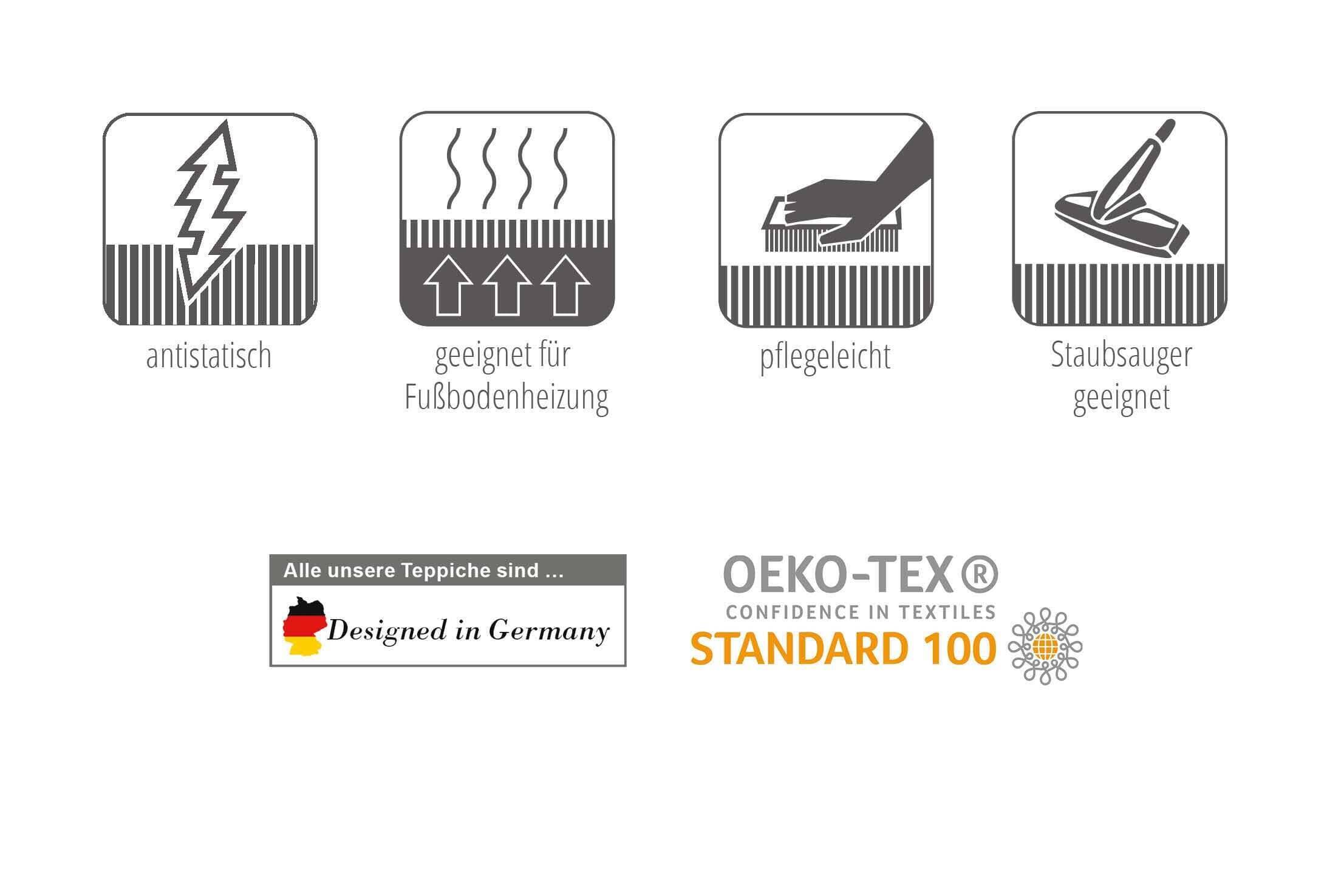 W6625_Sofia_PiktogrammeZhmmIeOEfP6N9 Grandezza 6625 212-099 Moderner Teppich Vintage