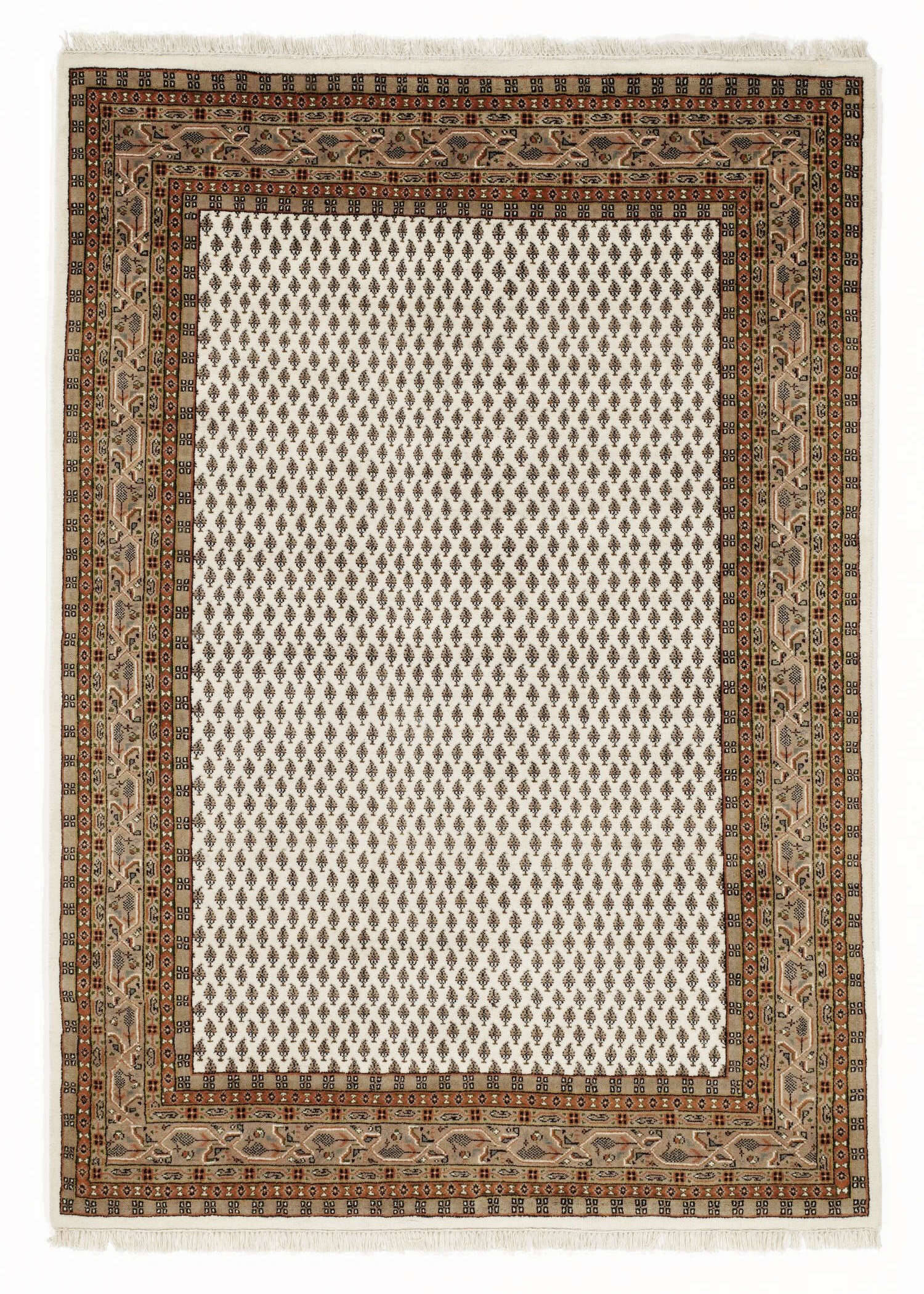 Teppich, reine Wolle, deals handgeknüpft, 1,70x2,40 m