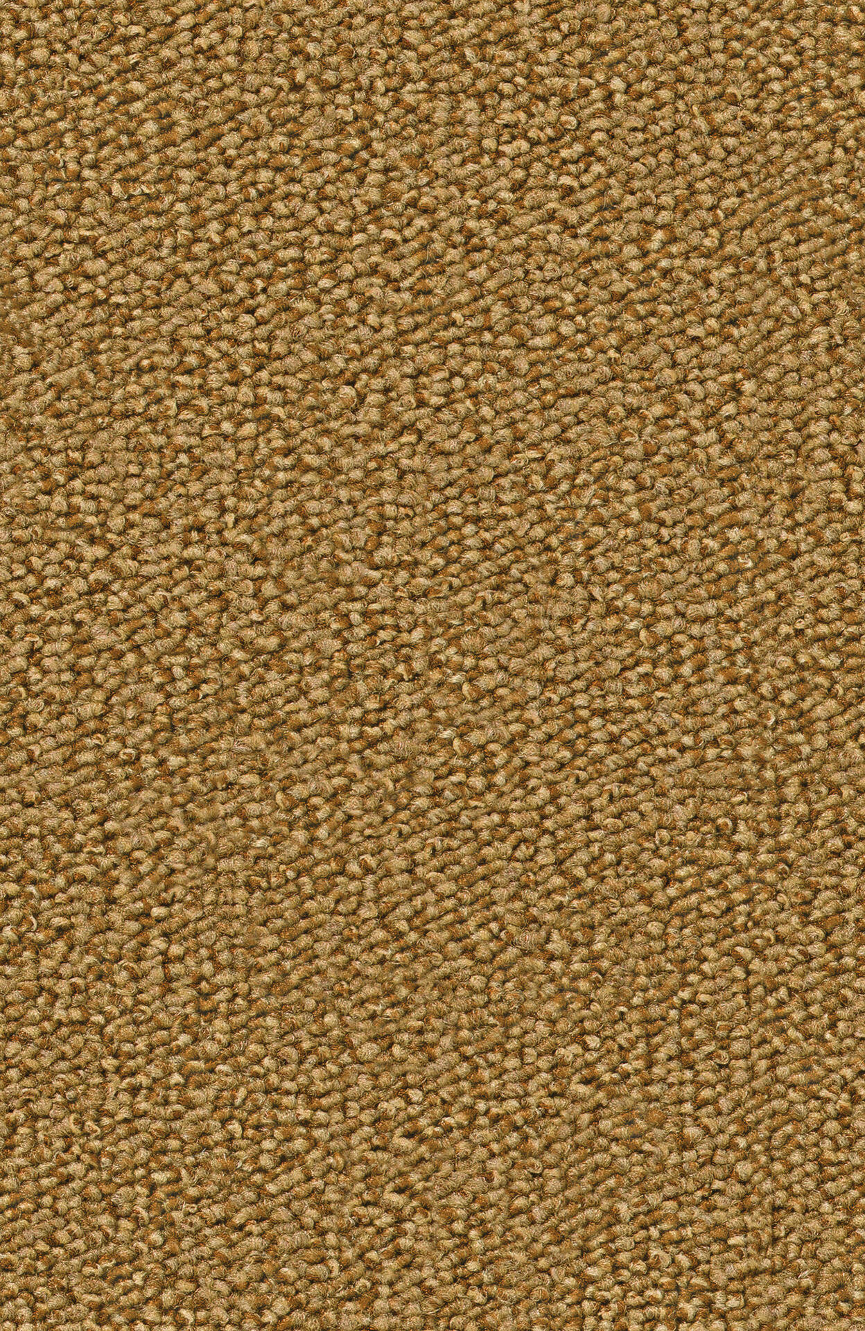 PASSION and Rugs "Rondo" Vorwerk Teppichboden