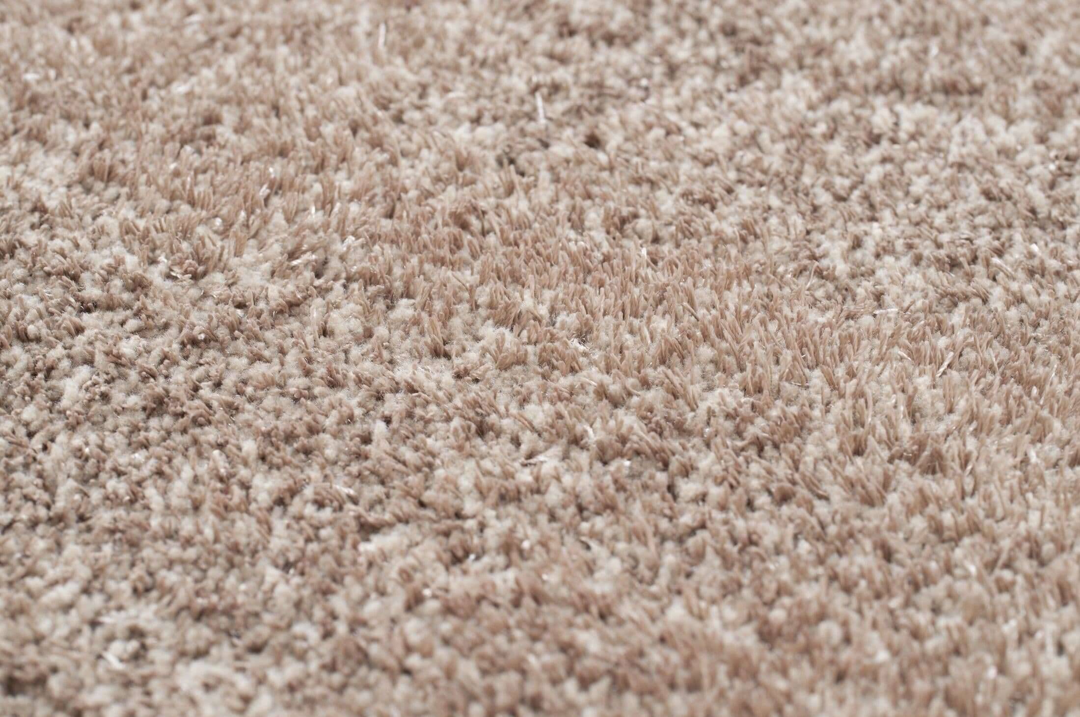Alessia_Uni_550beige_408050_3 Teppich uni Alessia Shaggy Kuschelteppich