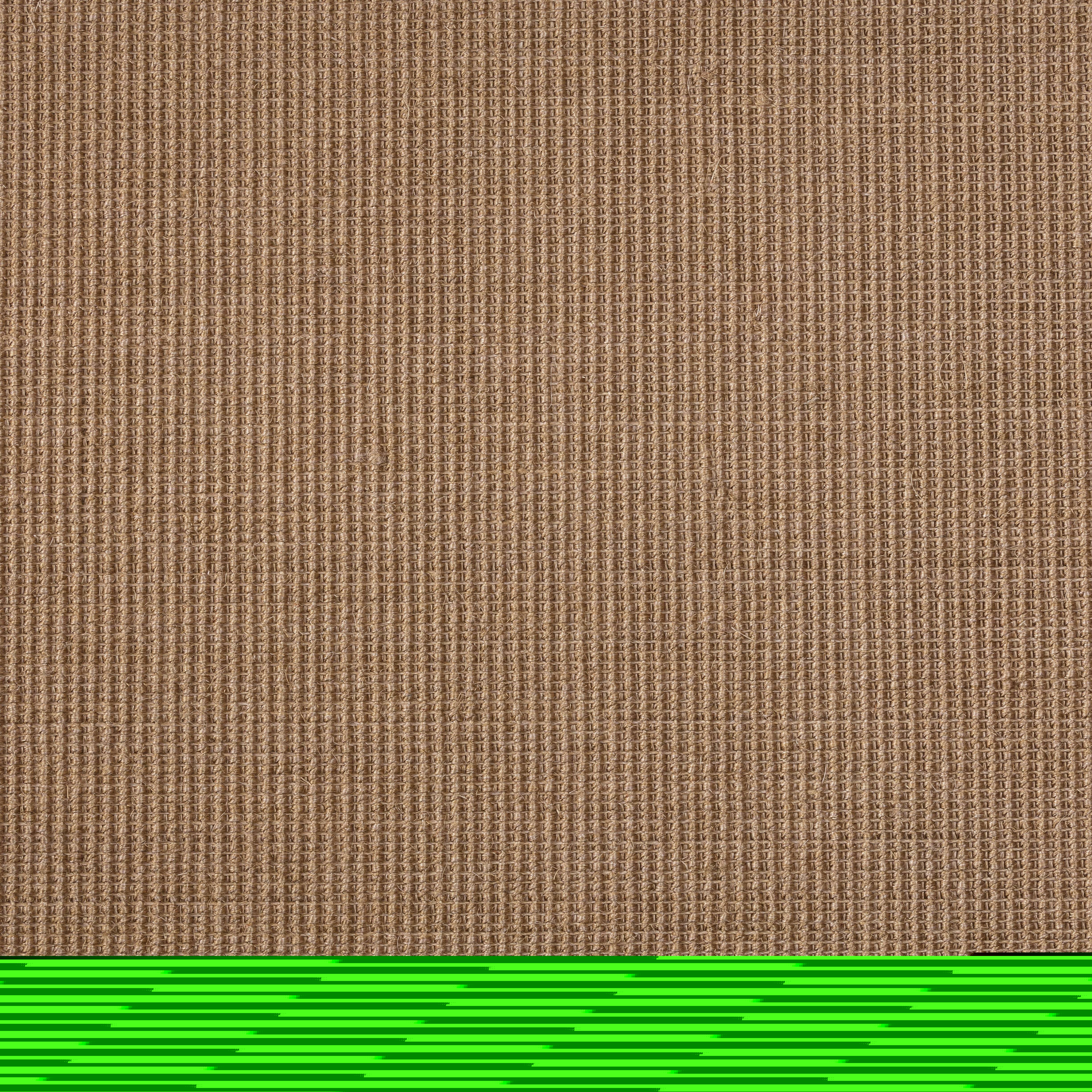 Sisal Teppichboden Brasilia 3150/B beschichtet