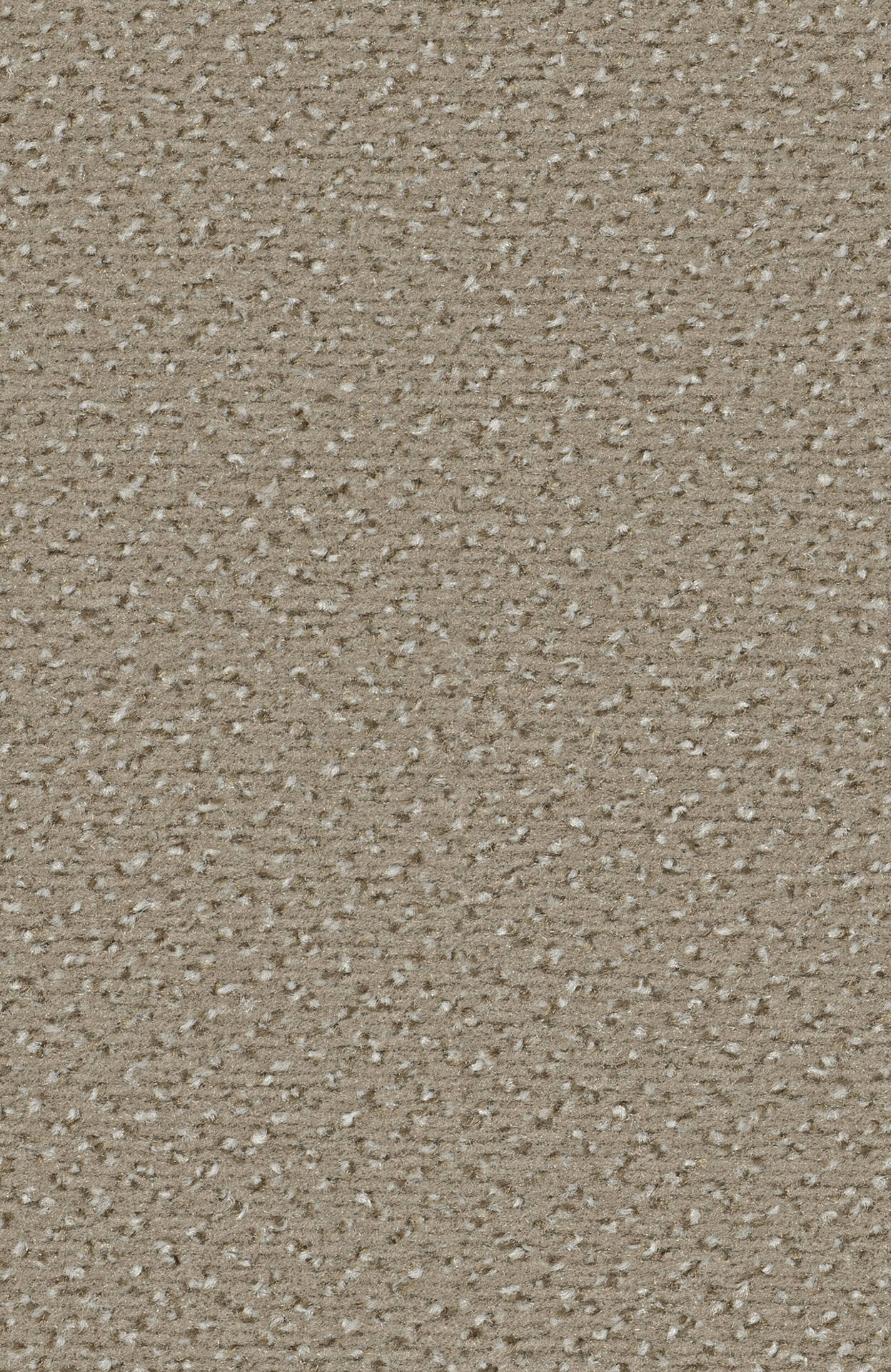 8L89_ALEXIS_Einzel-wg_(1)