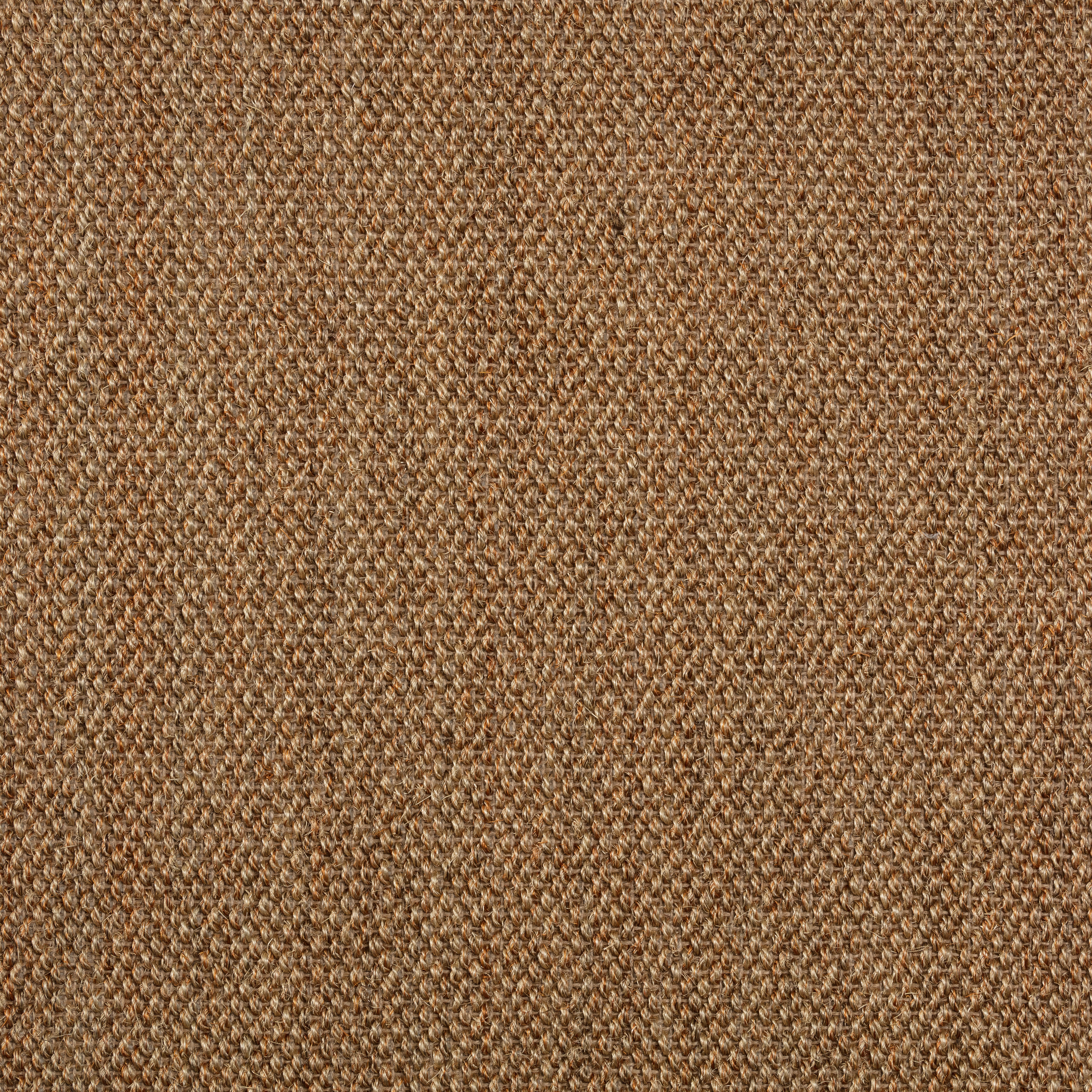 Sisal Teppichboden Barinas 3580/B beschichtet Sisal Teppichboden Barinas 3580/B beschichtet