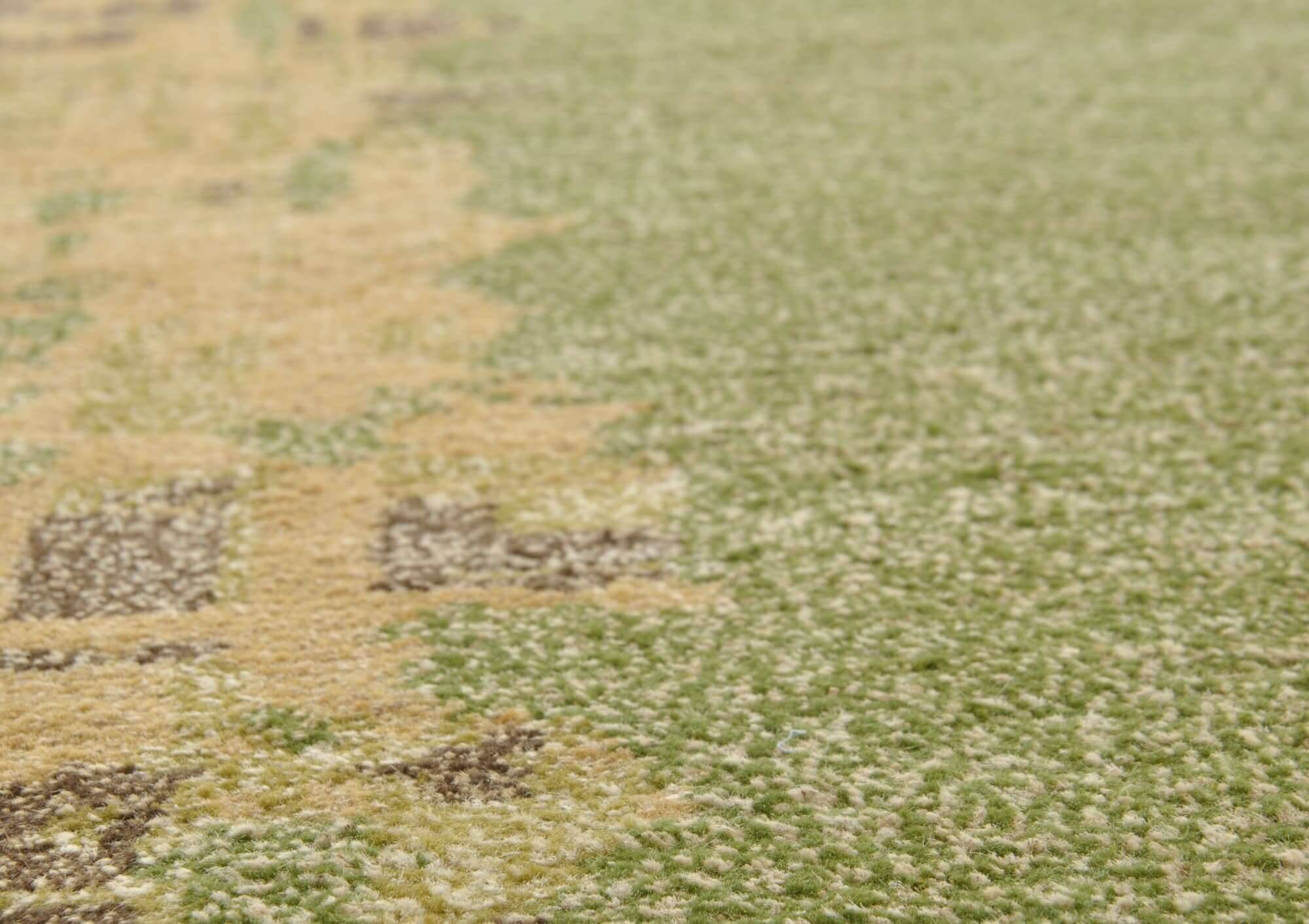 FineNature_C2460_300green_401614_3 Teppich Fine Nature C2460 Nepal Teppich Wunschmaß