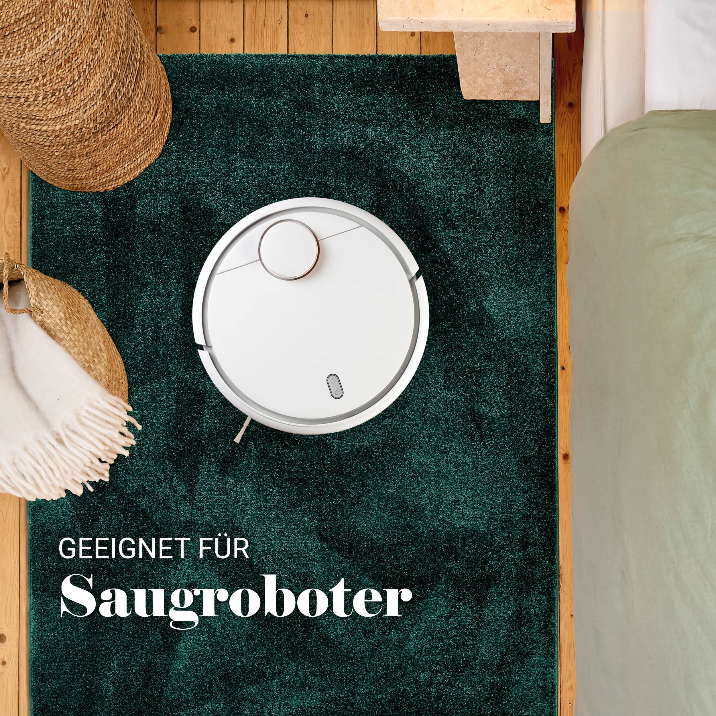 Wohnteppich Sam