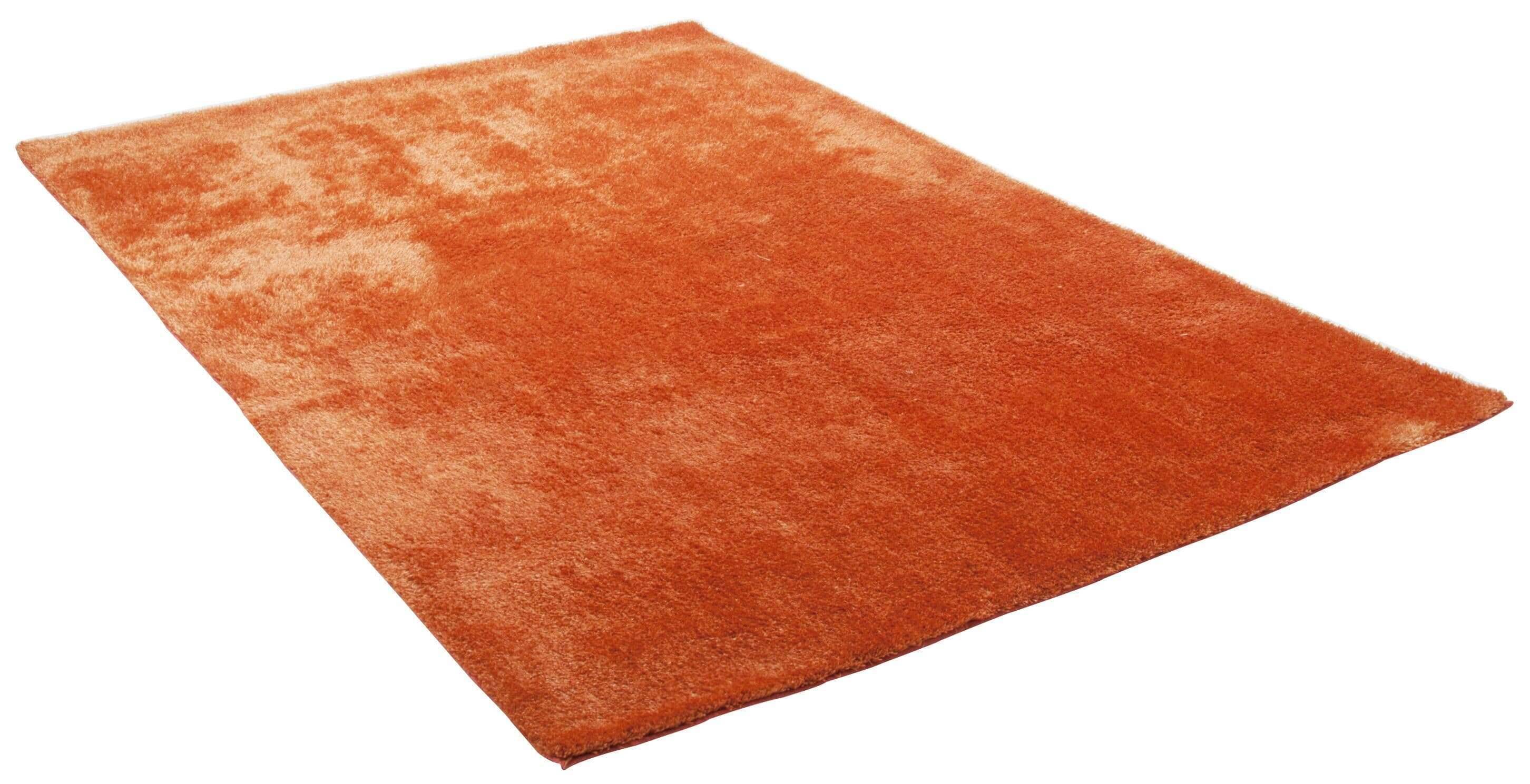 Alessia_Uni_450terra_408075_2 Teppich uni Alessia Shaggy Kuschelteppich