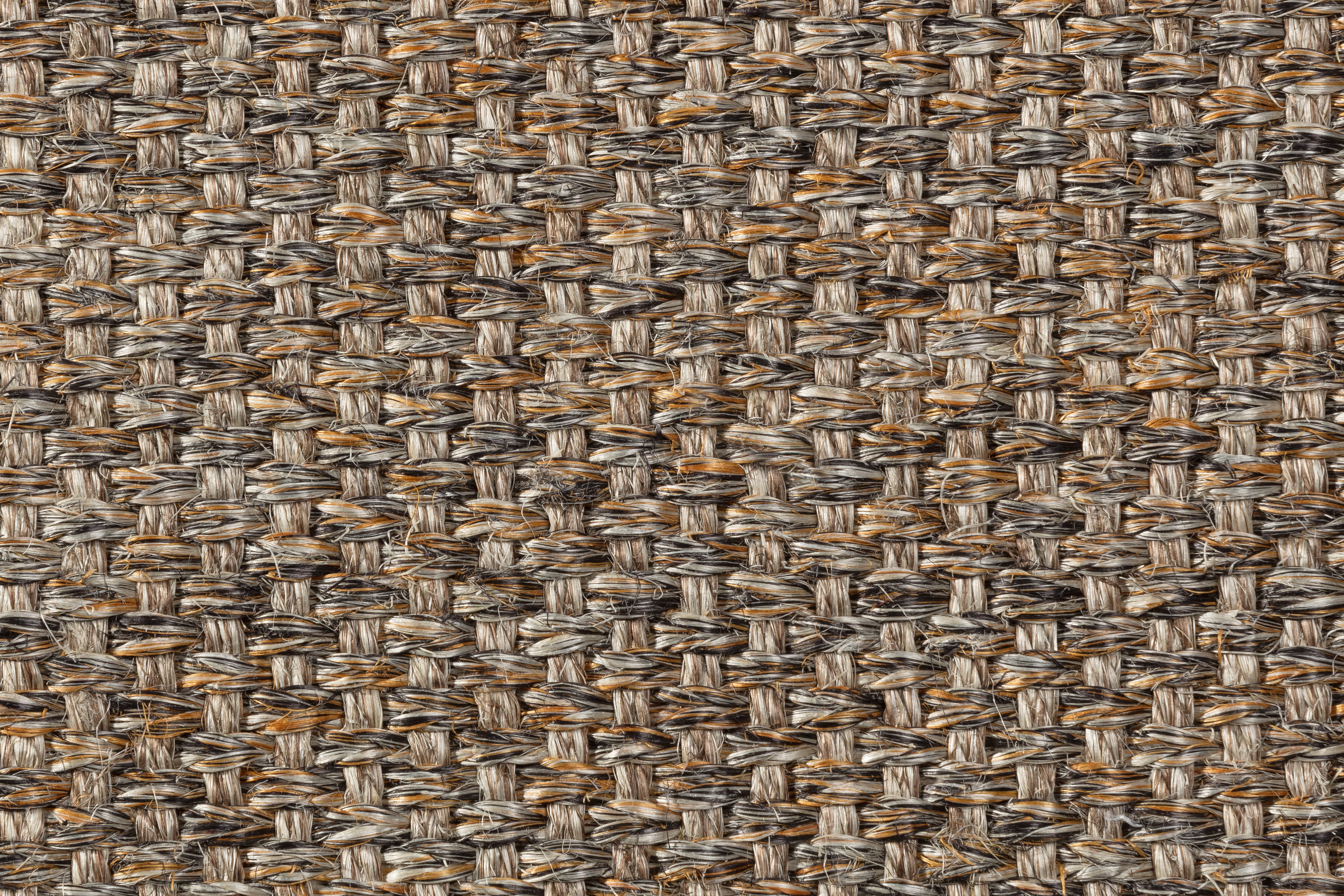 Sisal Teppich Quito 3230/B mit Baumwollbordüre Sisal Teppich Quito 3230/B mit Baumwollbordüre