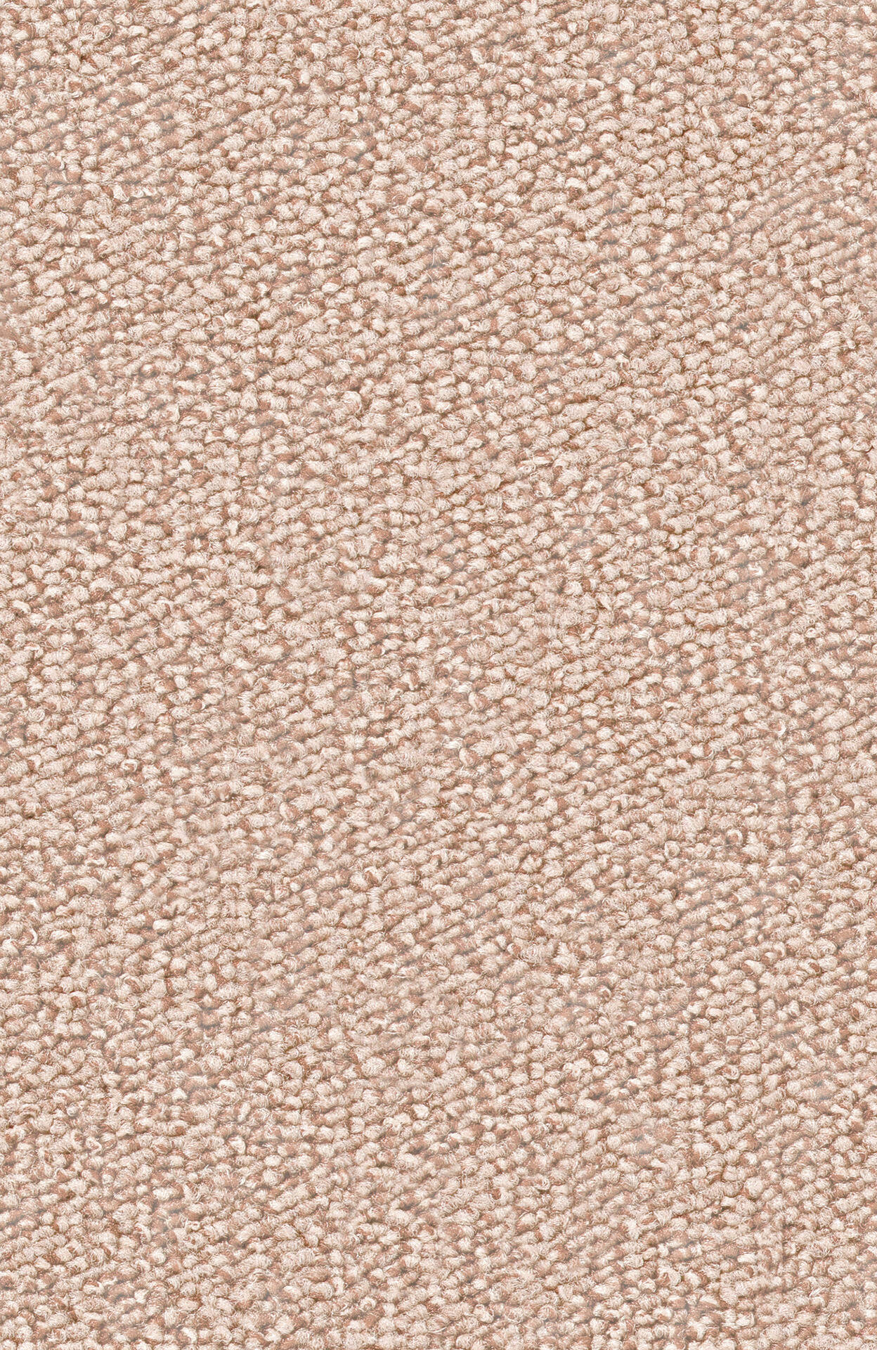 PASSION and Rugs "Rondo" Vorwerk Teppichboden