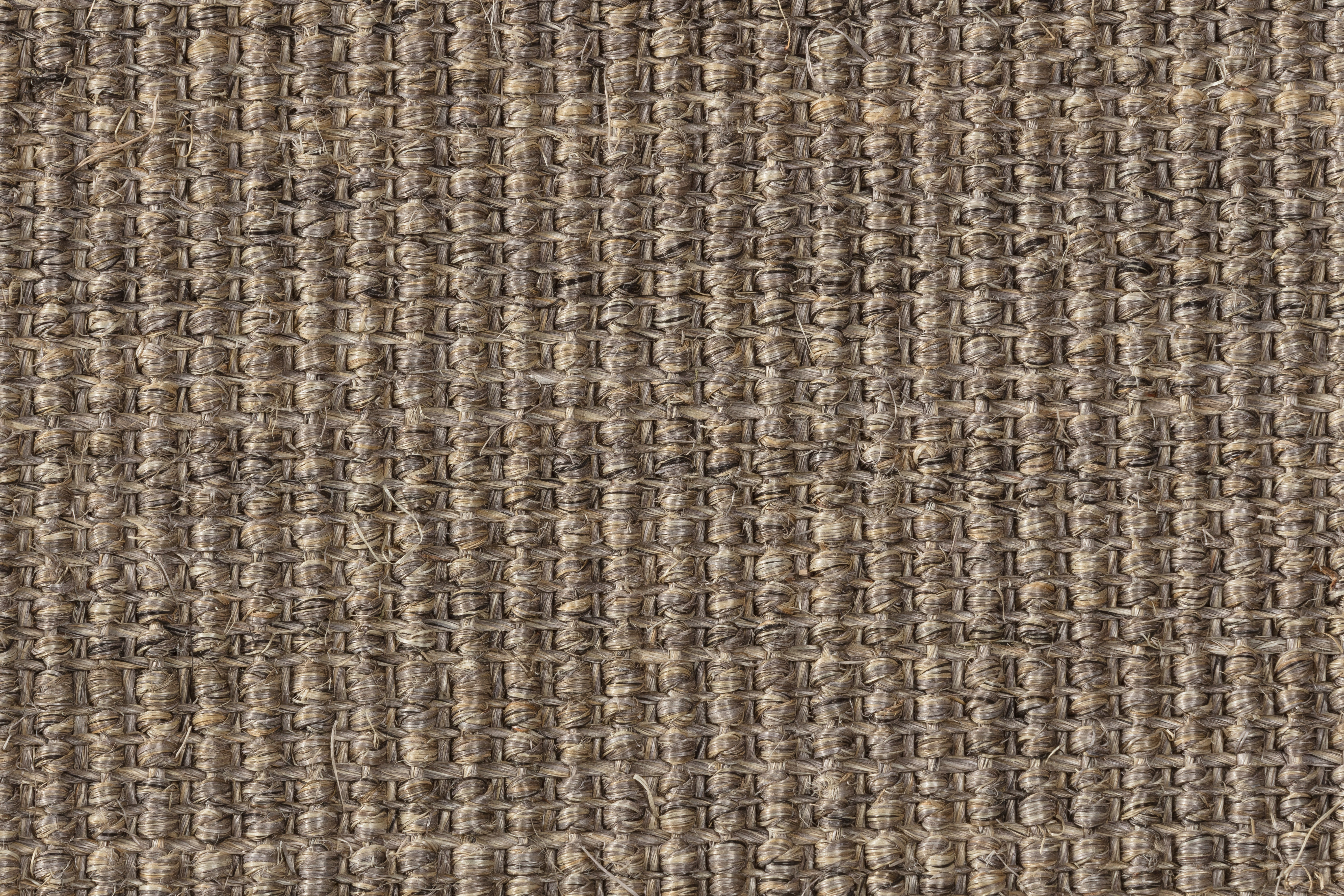 Sisal Teppichboden Brasilia 3150/B beschichtet Sisal Teppichboden Brasilia 3150/B beschichtet