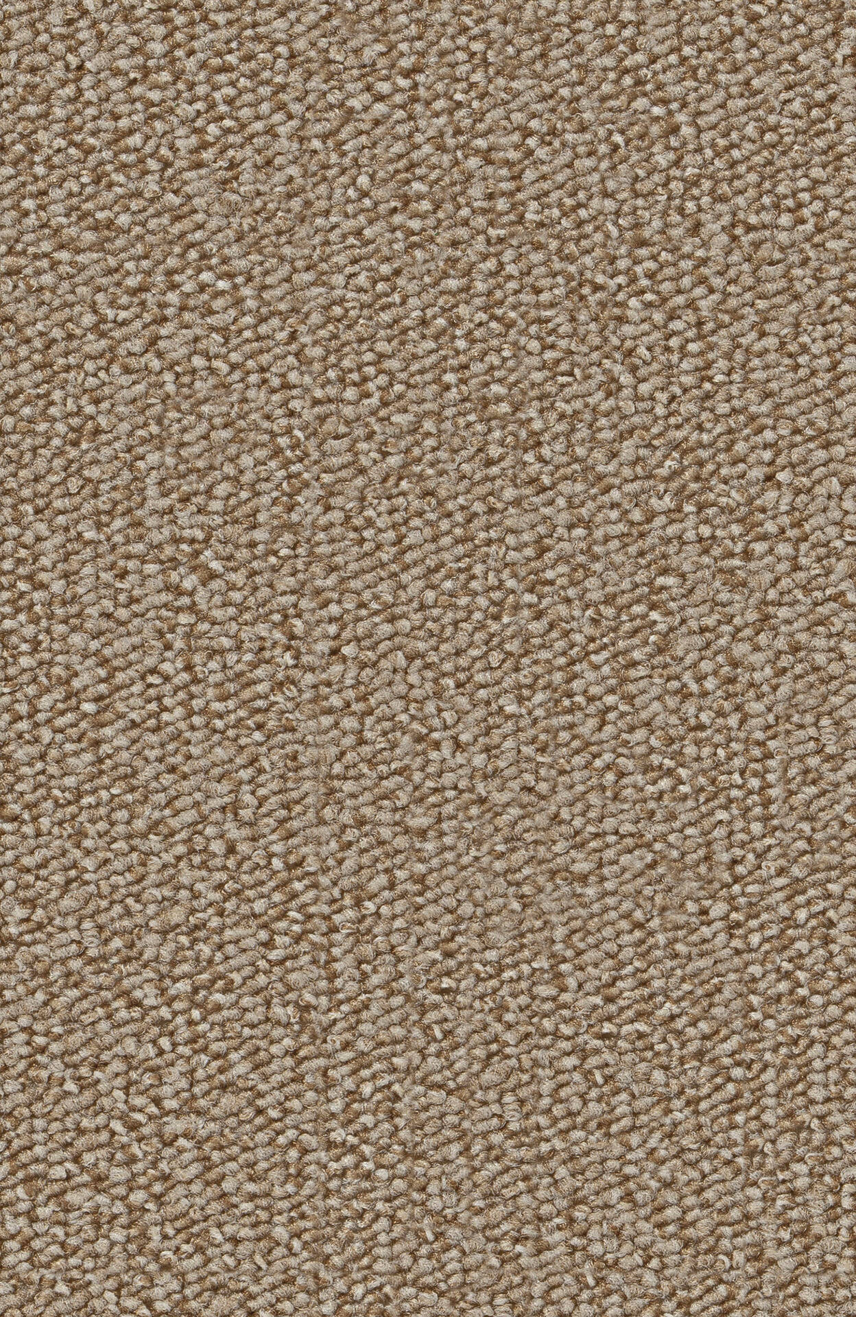 PASSION and Rugs "Rondo" Vorwerk Teppichboden