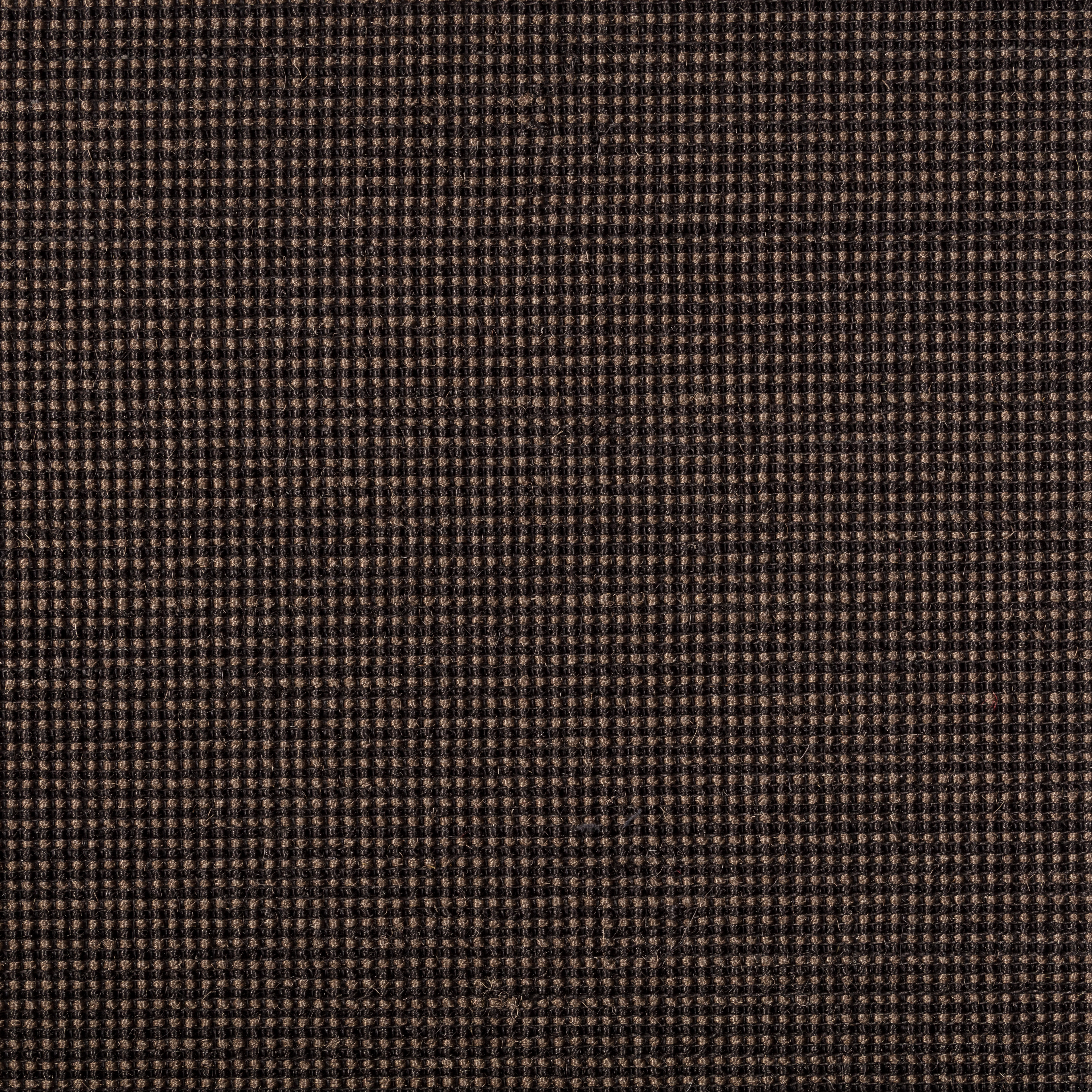 Sisal Teppichboden Baruta 3590/B beschichtet