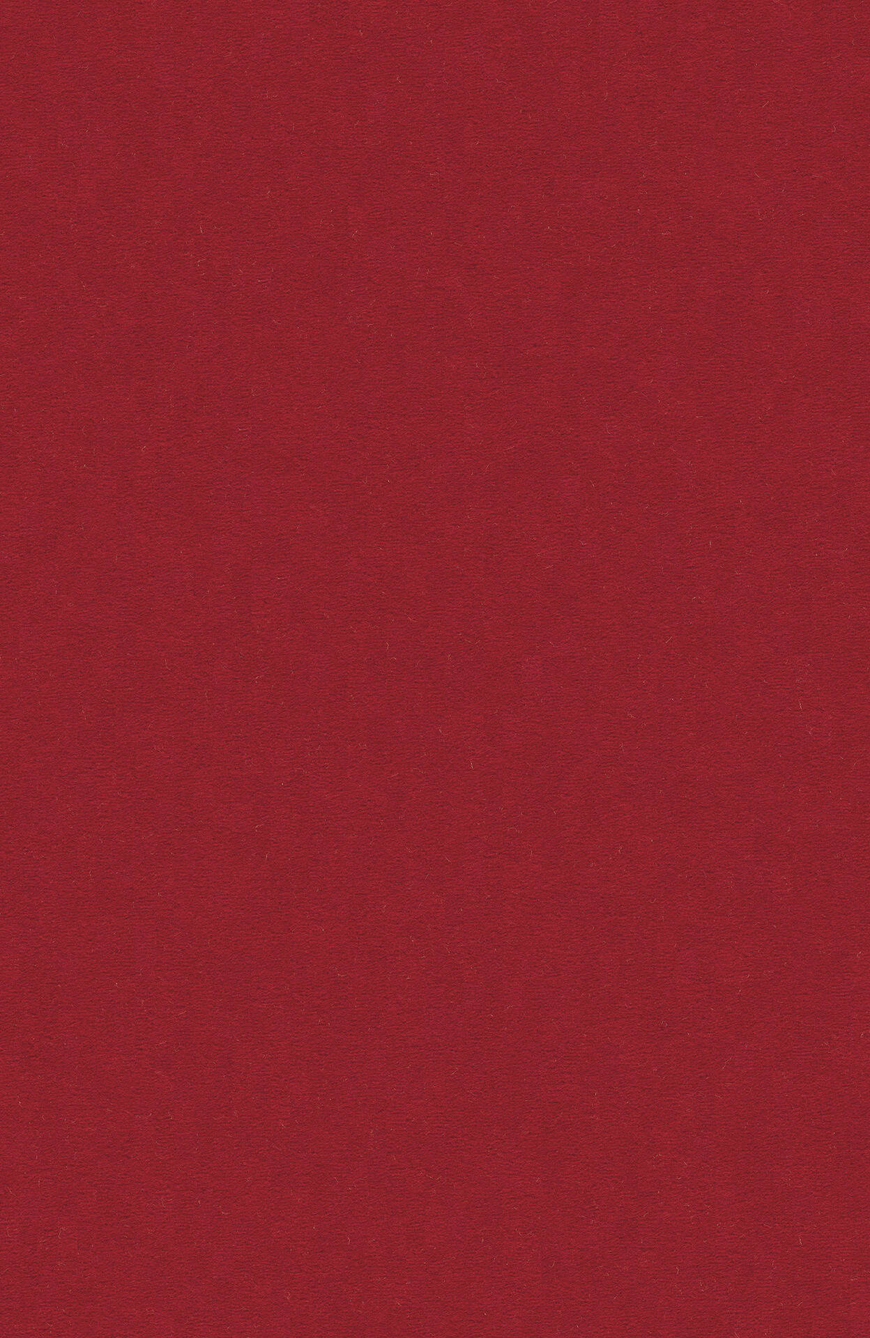 PASSION and Rugs "Modena" Vorwerk Teppich nach Maß