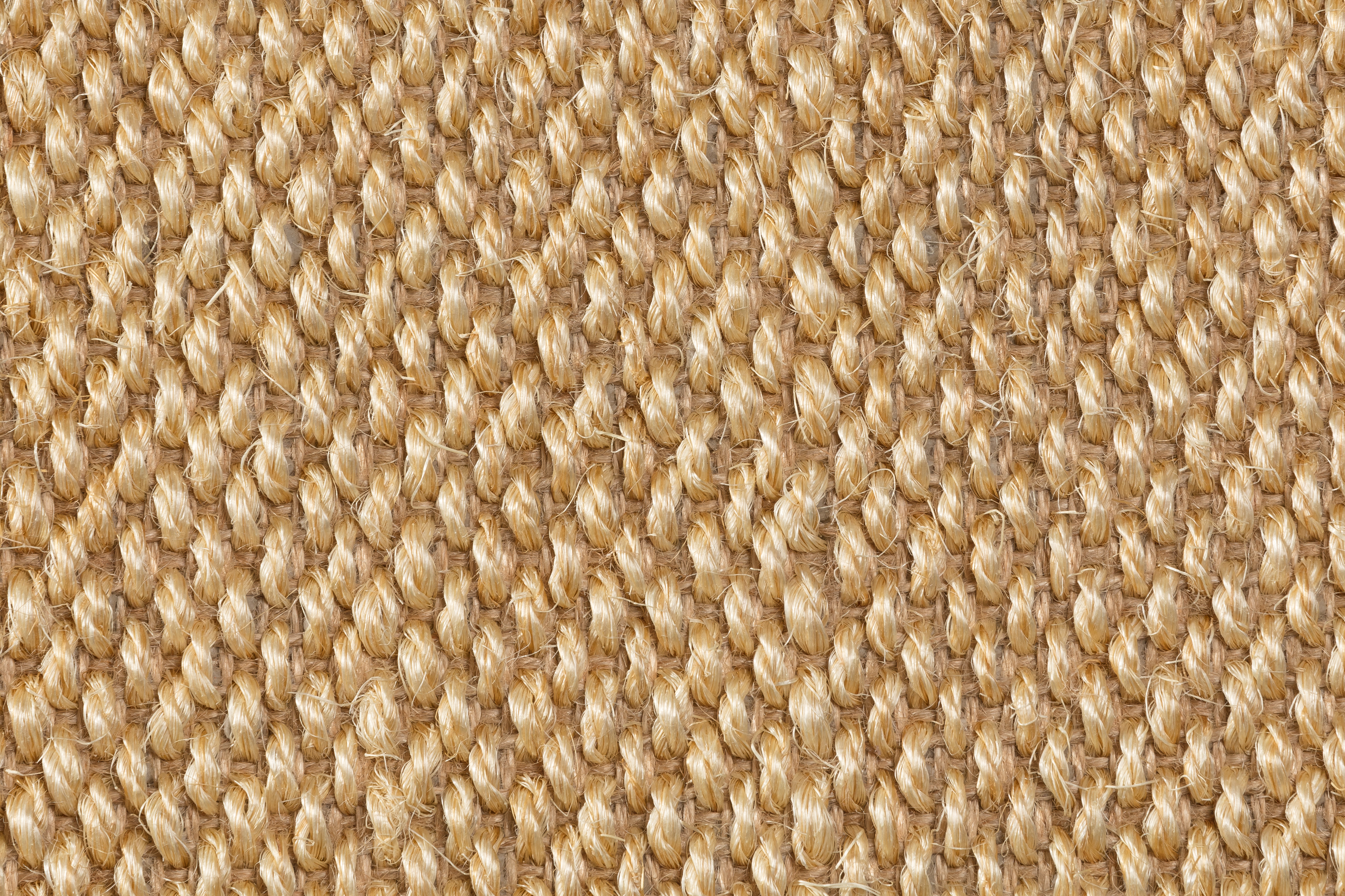 Sisal Teppichboden Barinas 3580/B beschichtet