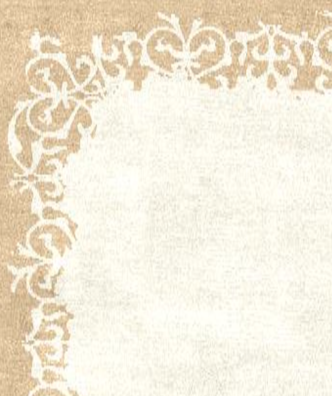 Makalu Nepal Teppich Edition CS78 Handgeknüpft im Wunschmaß Makalu Nepal Teppich Edition CS78 Handgeknüpft im Wunschmaß