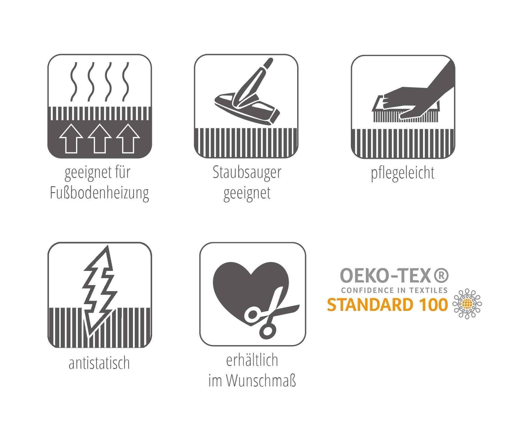 6312_Attraction_Piktogramme0RHlPi7sMV4Mc Teppich Attraction 6312-212-099 Vintage Design