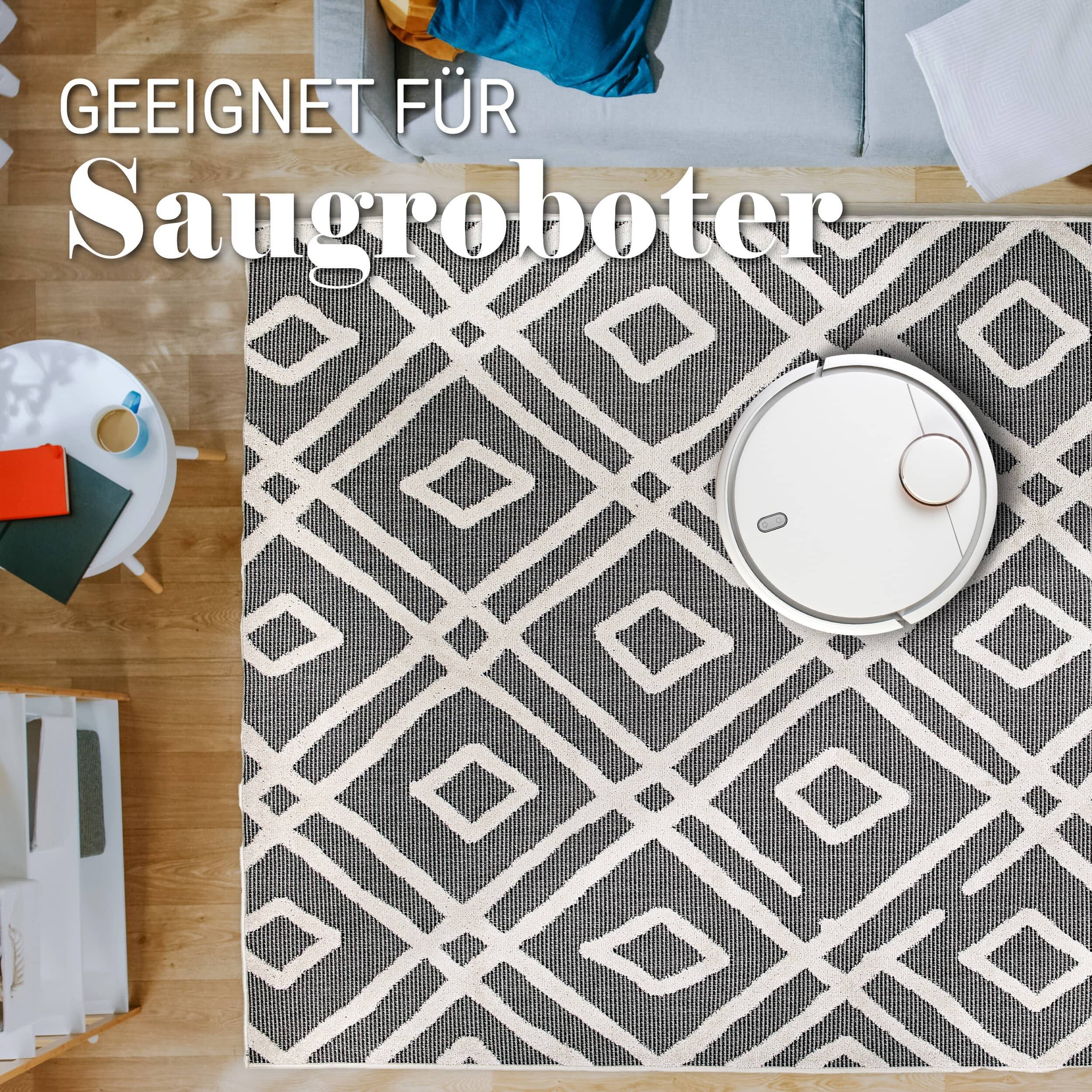 In- und Outdoor Teppich Serina D.252 C.004 Ethno grau/weiß