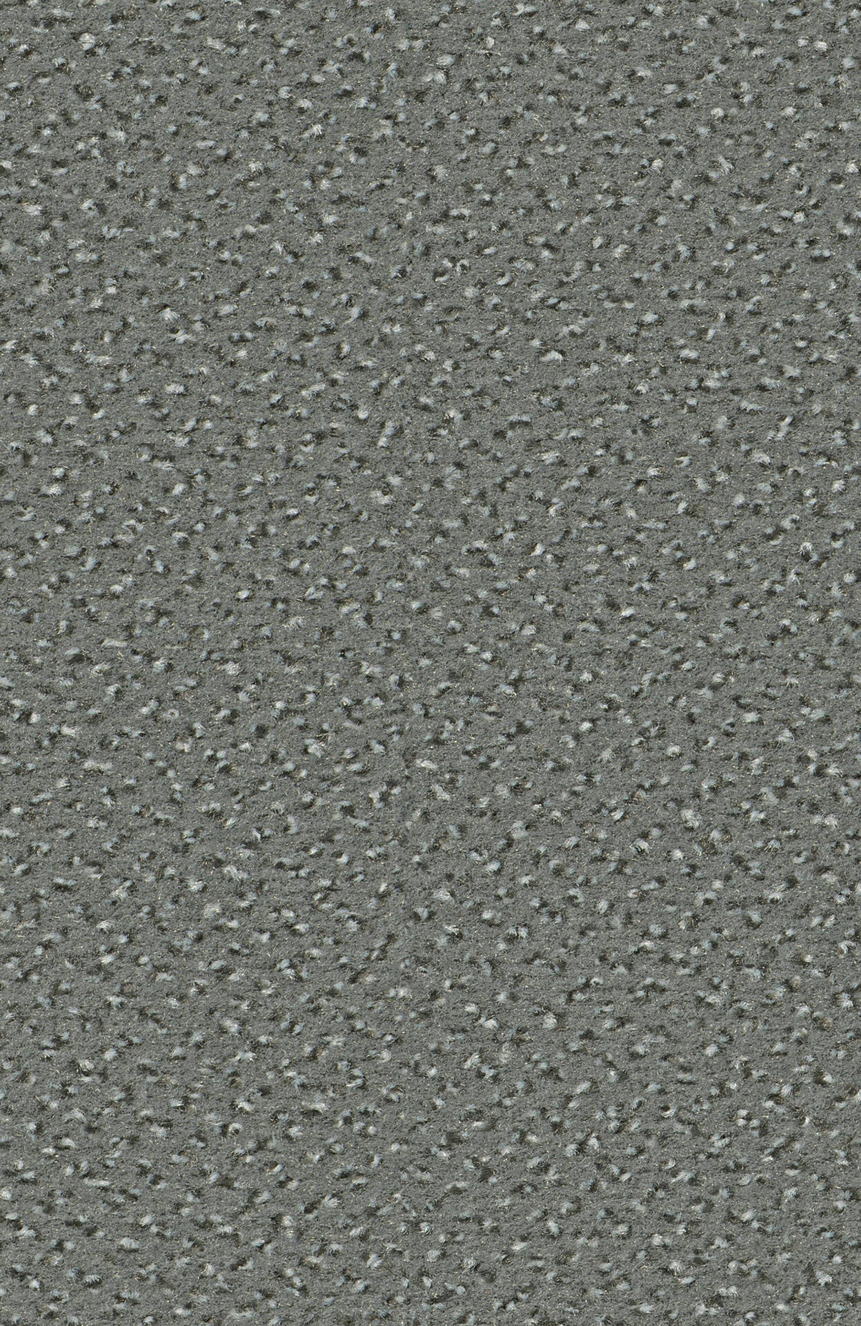 5Y85_ALEXIS_Einzel-wg_(1)