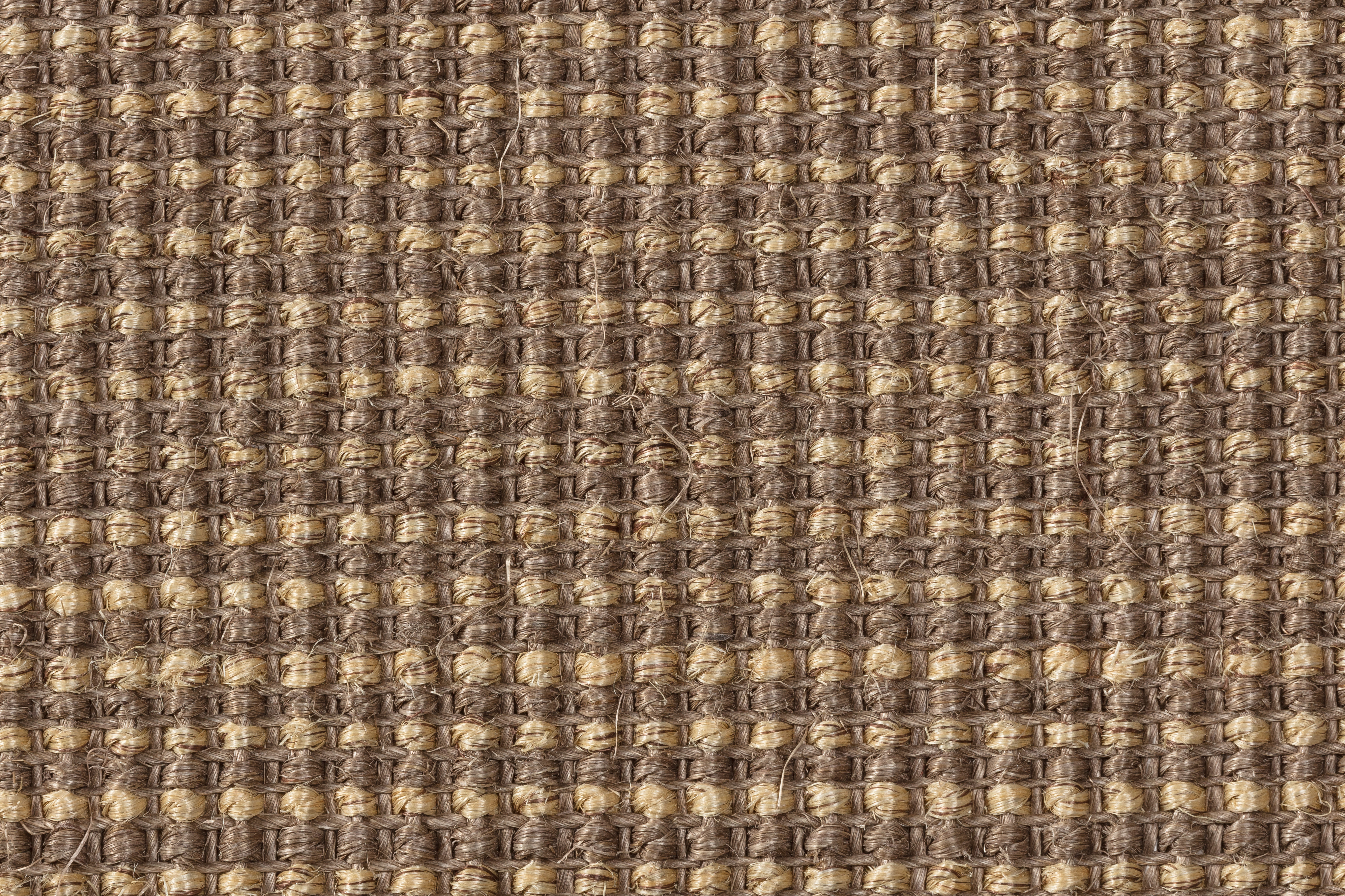 Sisal Teppichboden Baruta 3590/B beschichtet Sisal Teppichboden Baruta 3590/B beschichtet