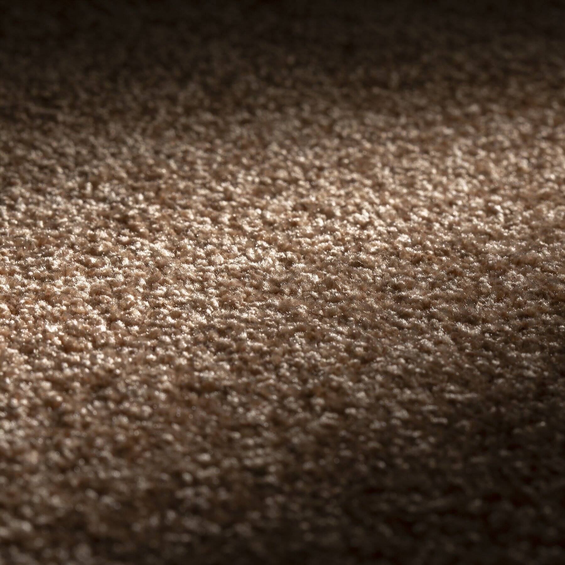 Teppichboden Amaze von JAB Anstoetz Teppichboden Amaze von JAB Anstoetz