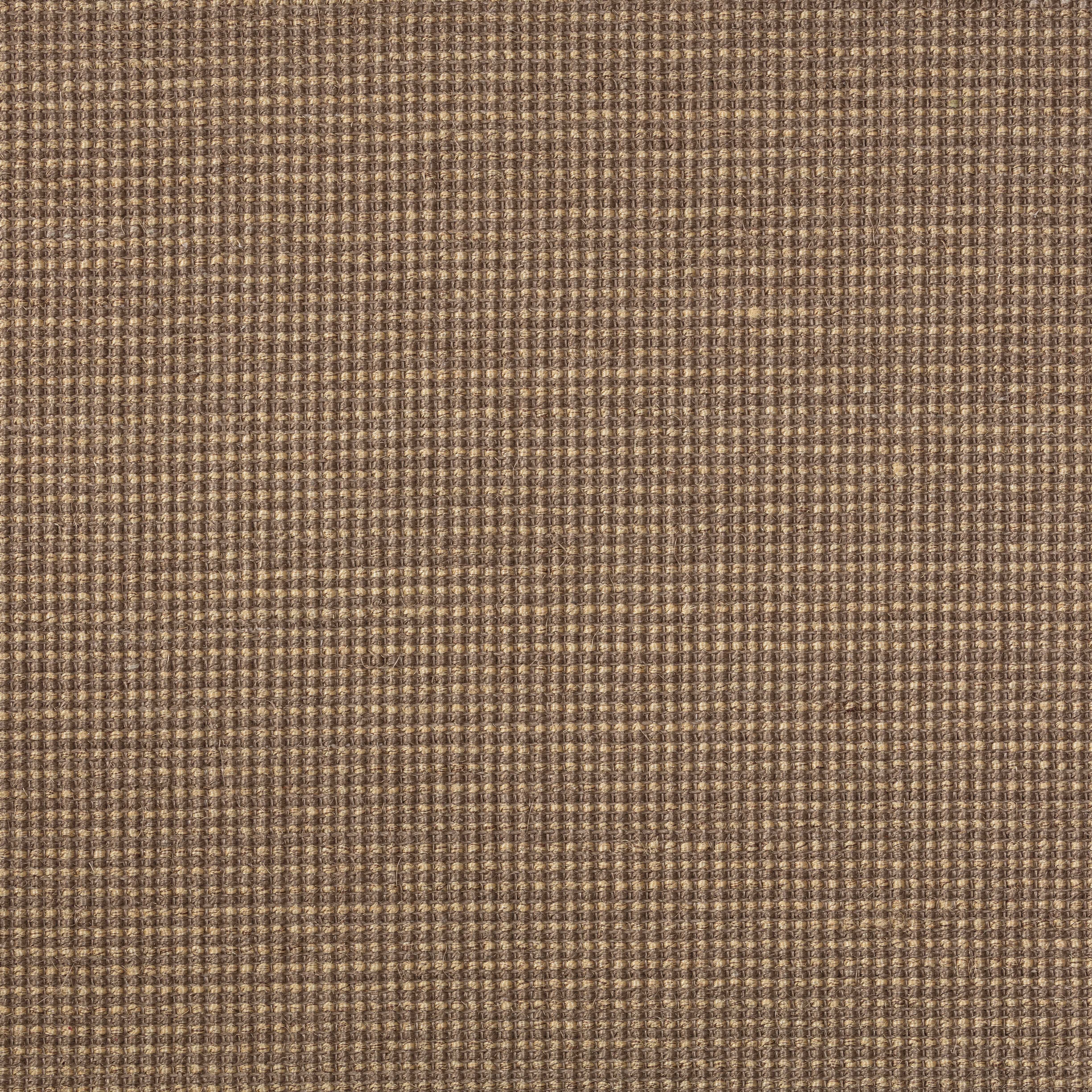 Sisal Teppichboden Baruta 3590/B beschichtet