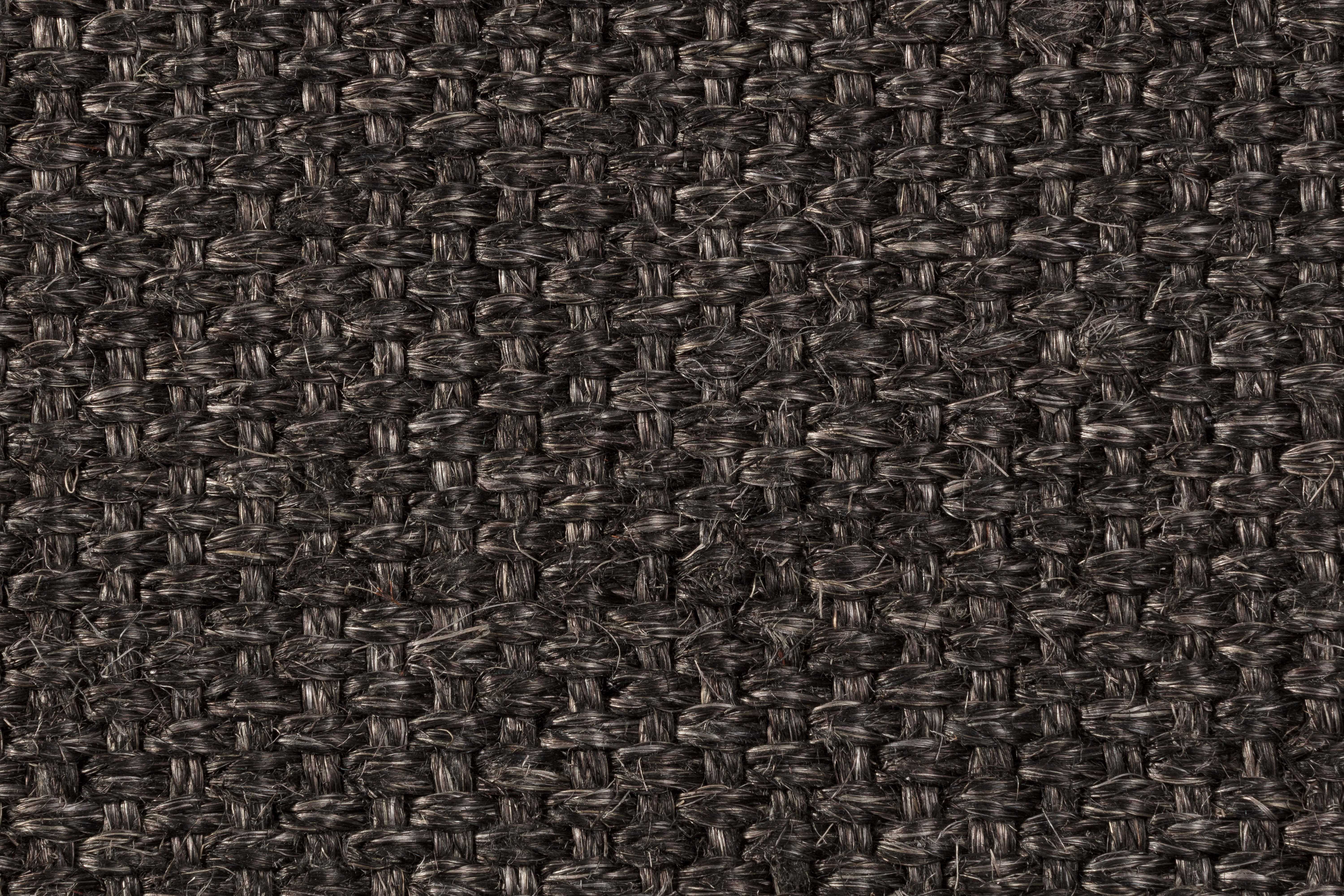 Sisal Teppich Quito 3230/B mit Baumwollbordüre