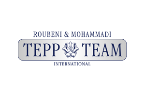tt Tepp Team