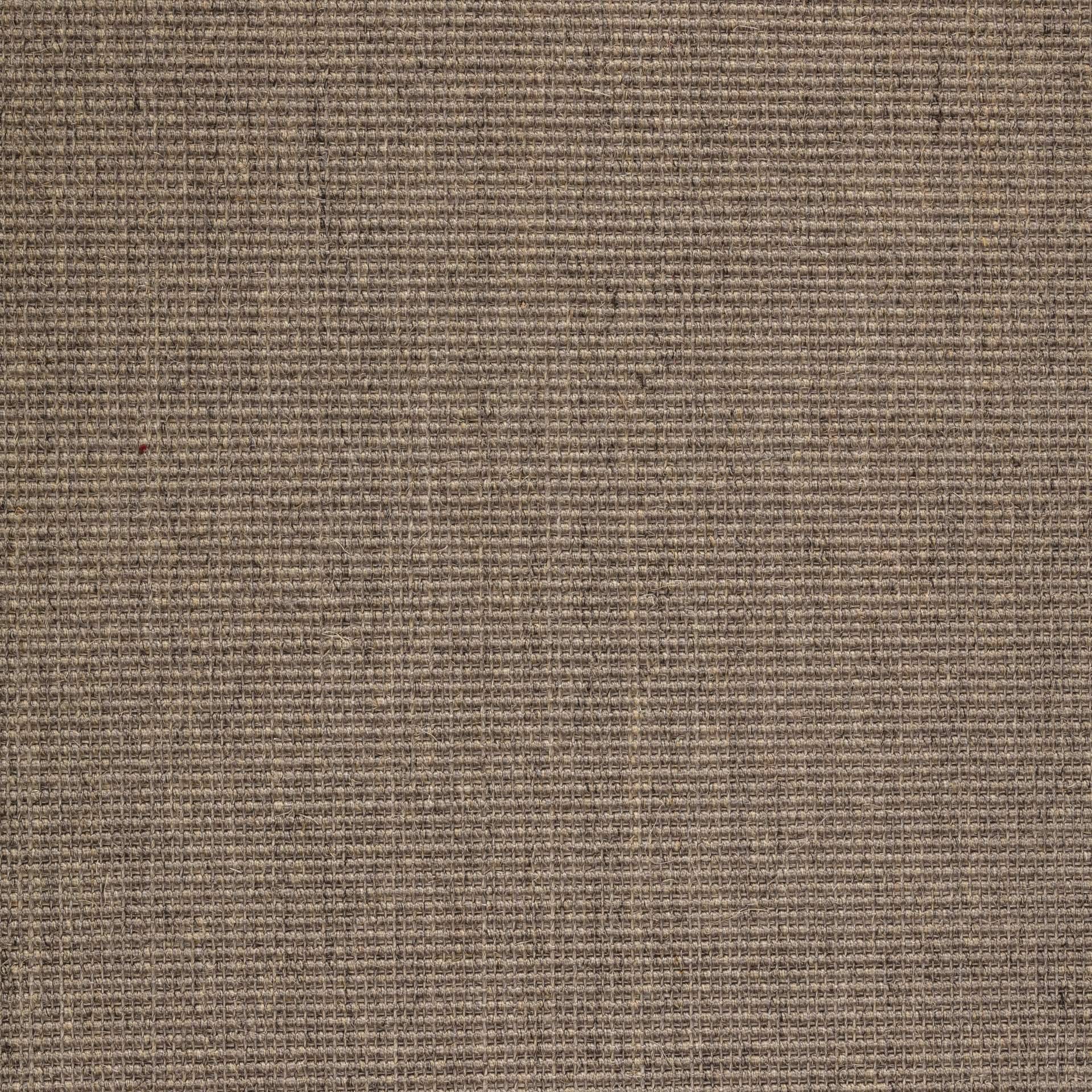 Sisal Teppich Brasilia 3150/B mit Baumwollbordüre – Bild 1