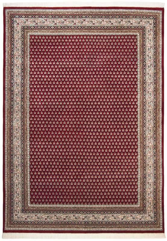 Abbas Meraj Mir 10,5/52