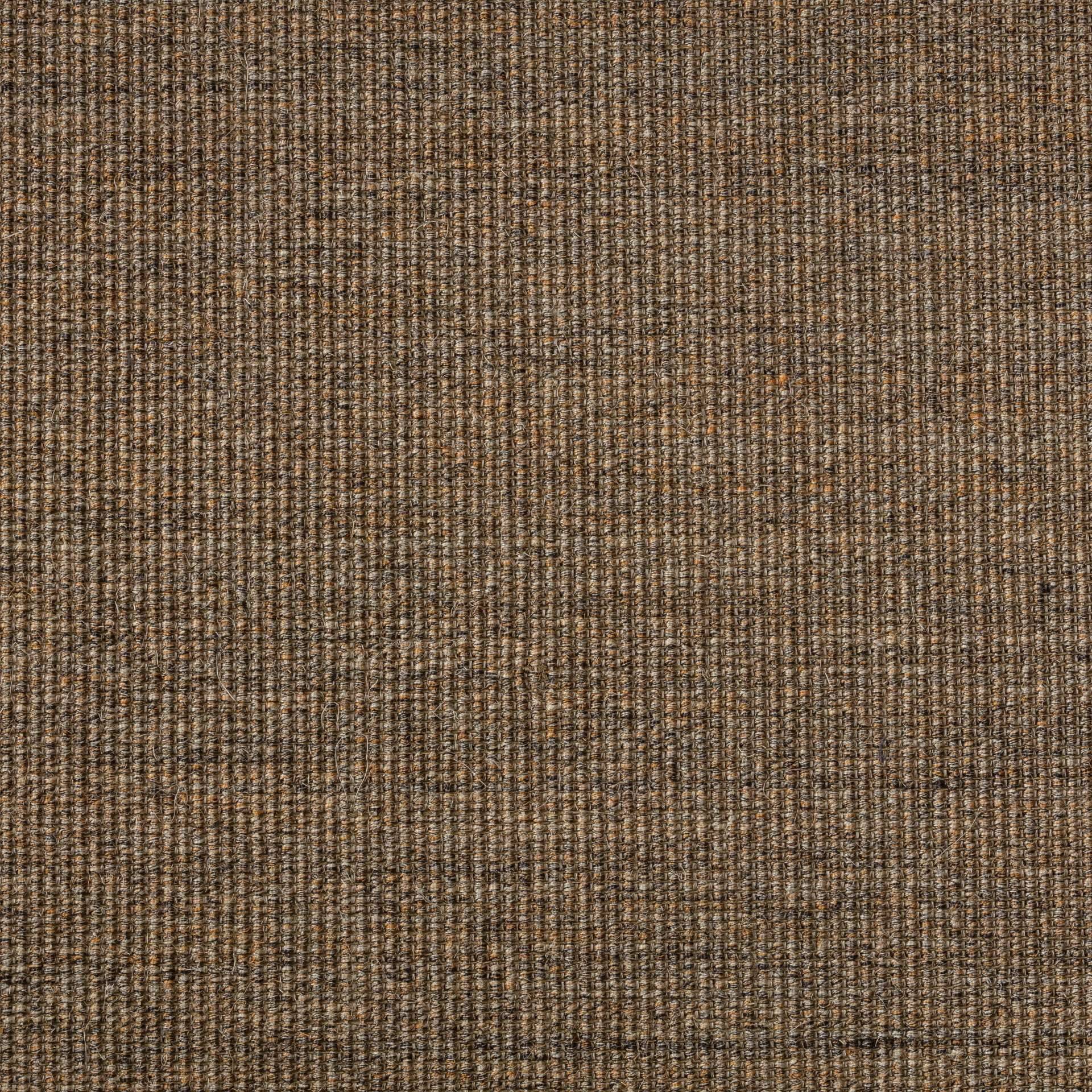 Sisal Teppich Brasilia 3150/B mit Baumwollbordüre – Bild 1