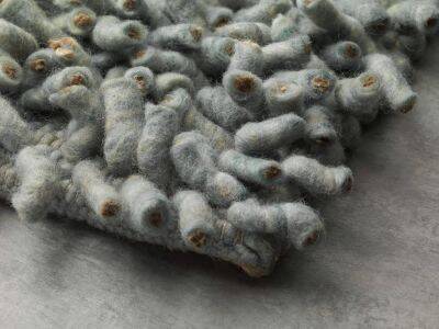 Paulig Salsa Limbo Farbe 343