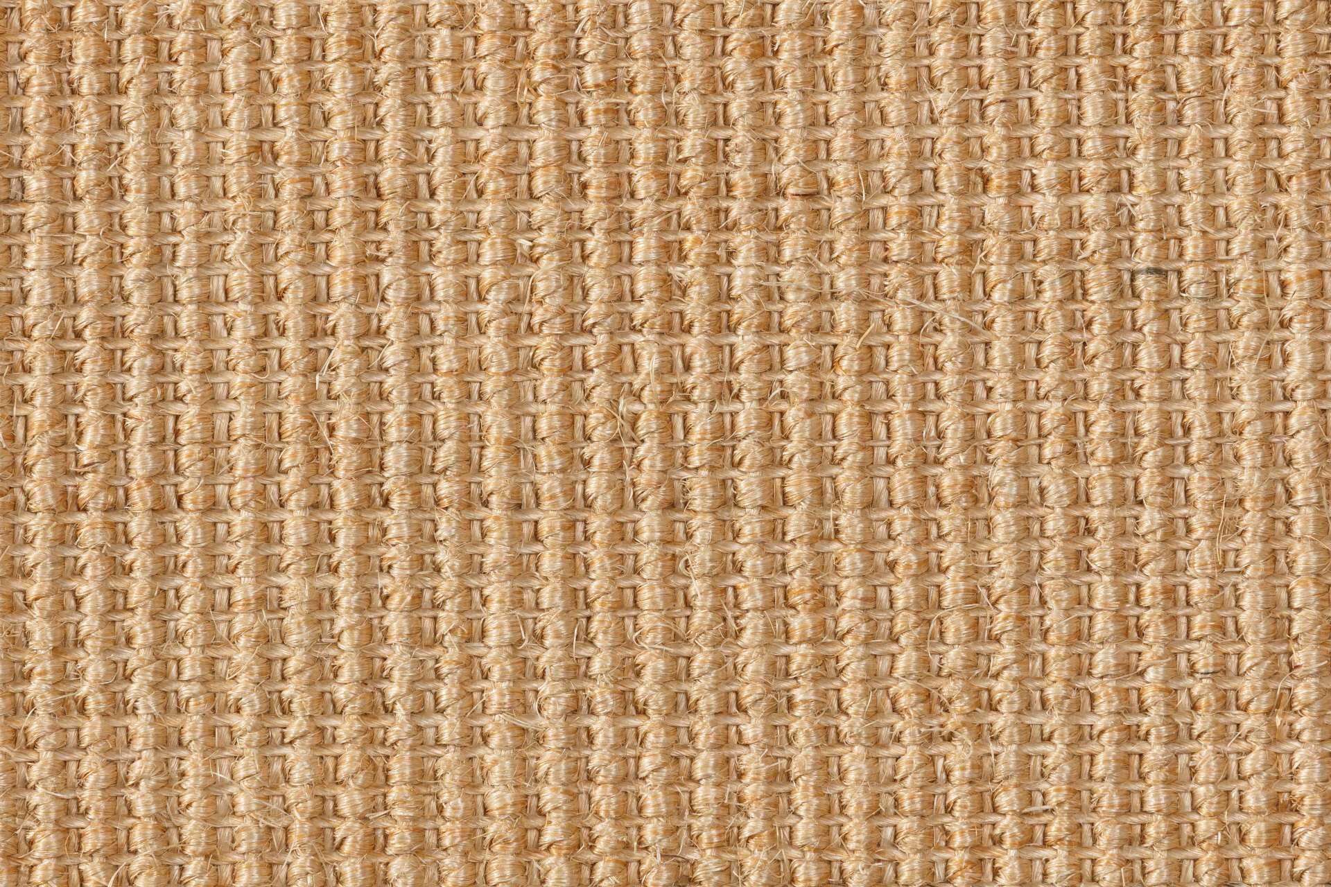 Sisal Teppich Brasilia 3150/B mit Baumwollbordüre – Bild 2
