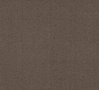 PASSION and Rugs "Rustica" Vorwerk Teppichboden