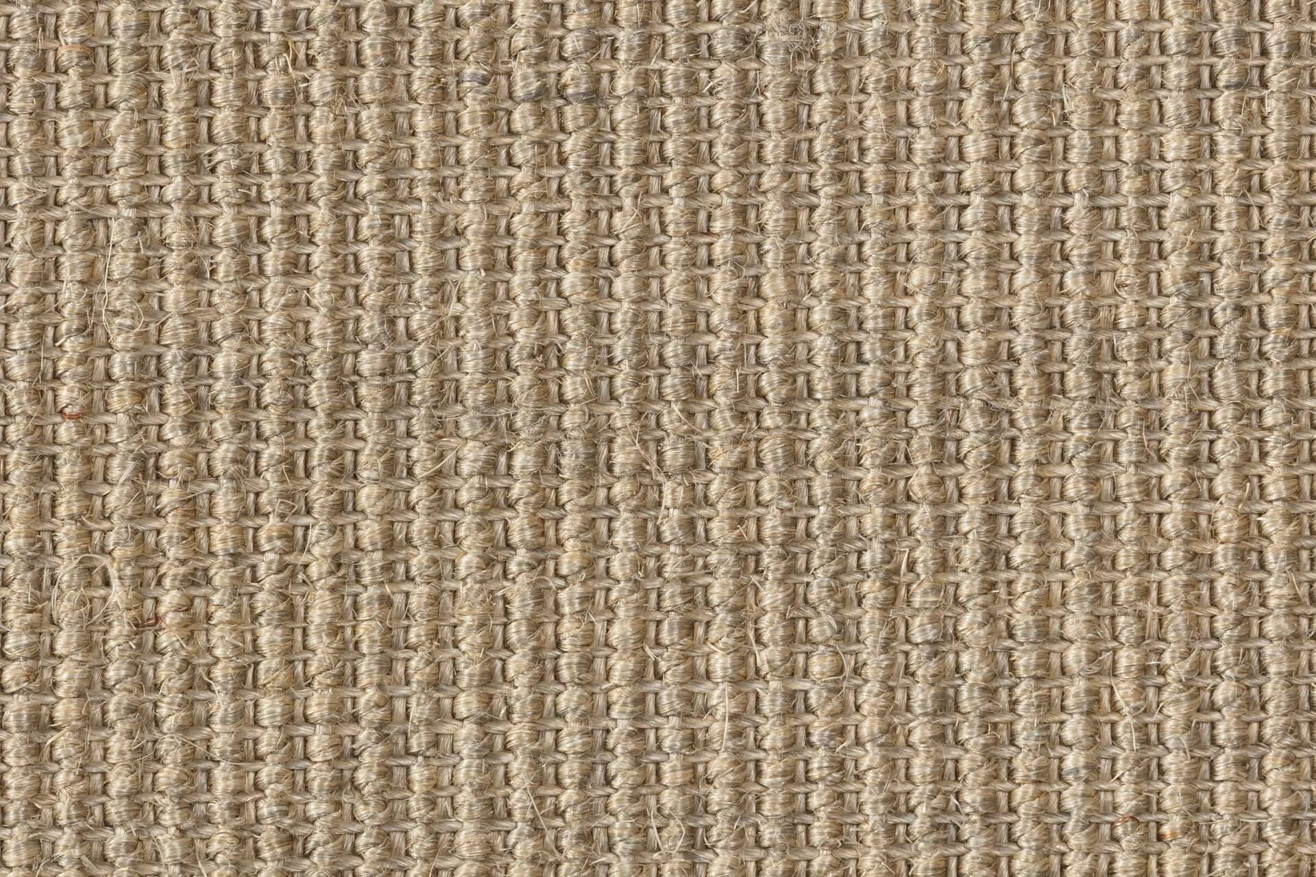 Sisal Teppich Brasilia 3150/B mit Baumwollbordüre – Bild 2
