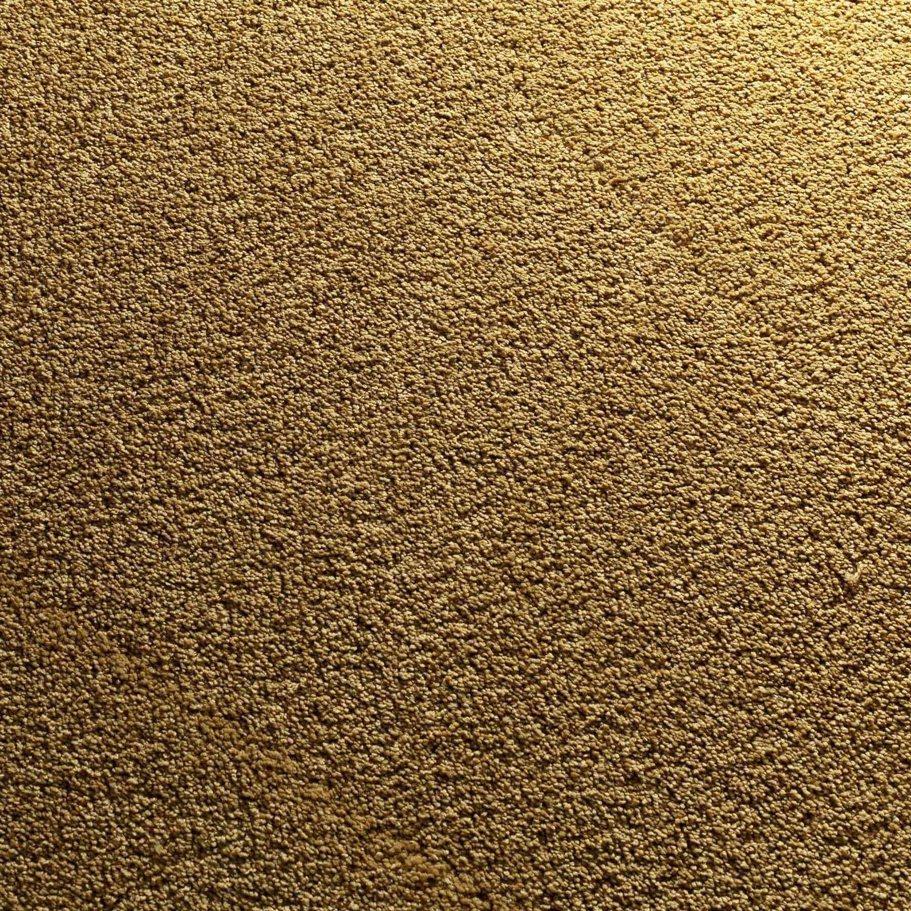 Teppich Poetry SD von JAB Anstoetz im Wunschmaß – Bild 1