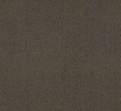 PASSION and Rugs "Rustica" Vorwerk Teppichboden