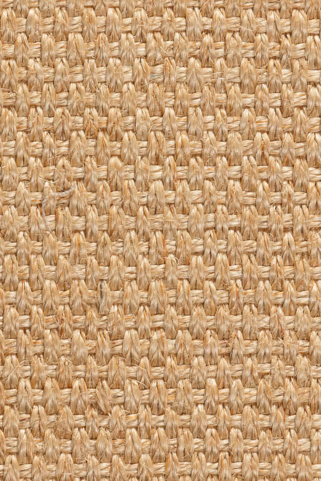 Sisal Teppich Quito 3230/B mit Baumwollbordüre  – Bild 2
