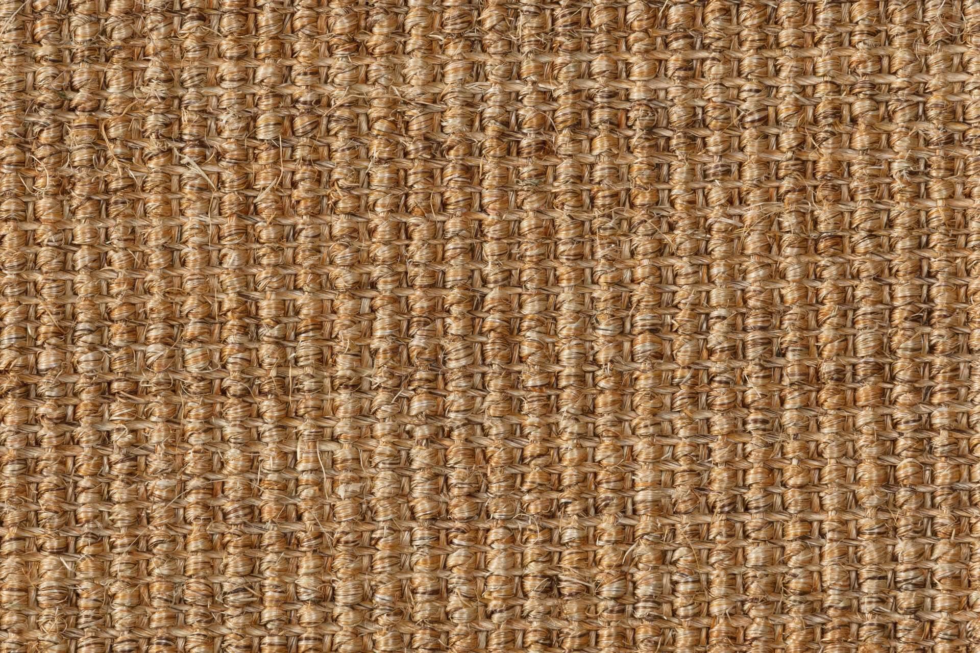 Sisal Teppich Brasilia 3150/B mit Baumwollbordüre – Bild 2