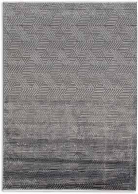 Design Teppich Scala 6621-232-005 Grau  