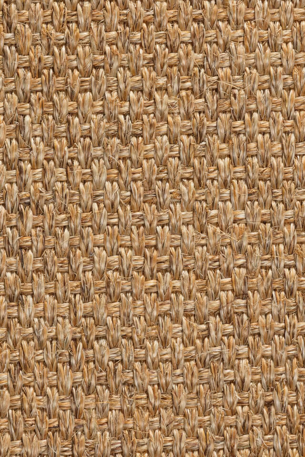 Sisal Teppich Quito 3230/B mit Baumwollbordüre  – Bild 2